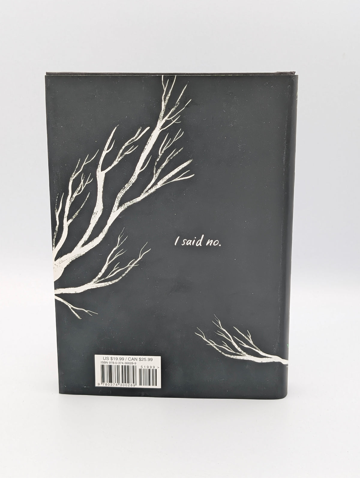 Speak: The Graphic Novel
