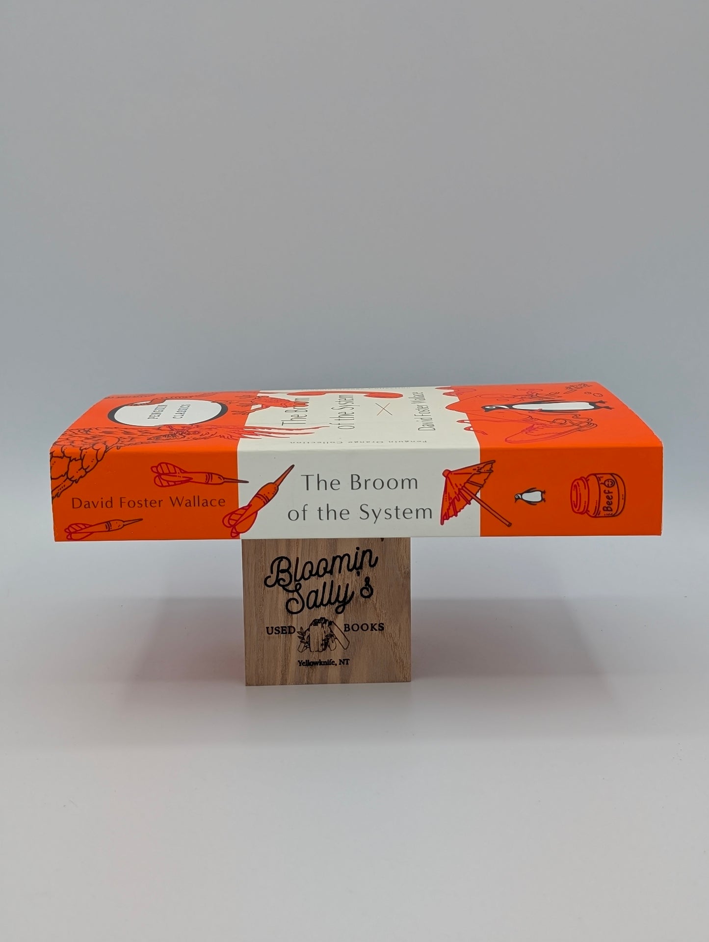 The Broom of the System: A Novel (Penguin Orange Collection)