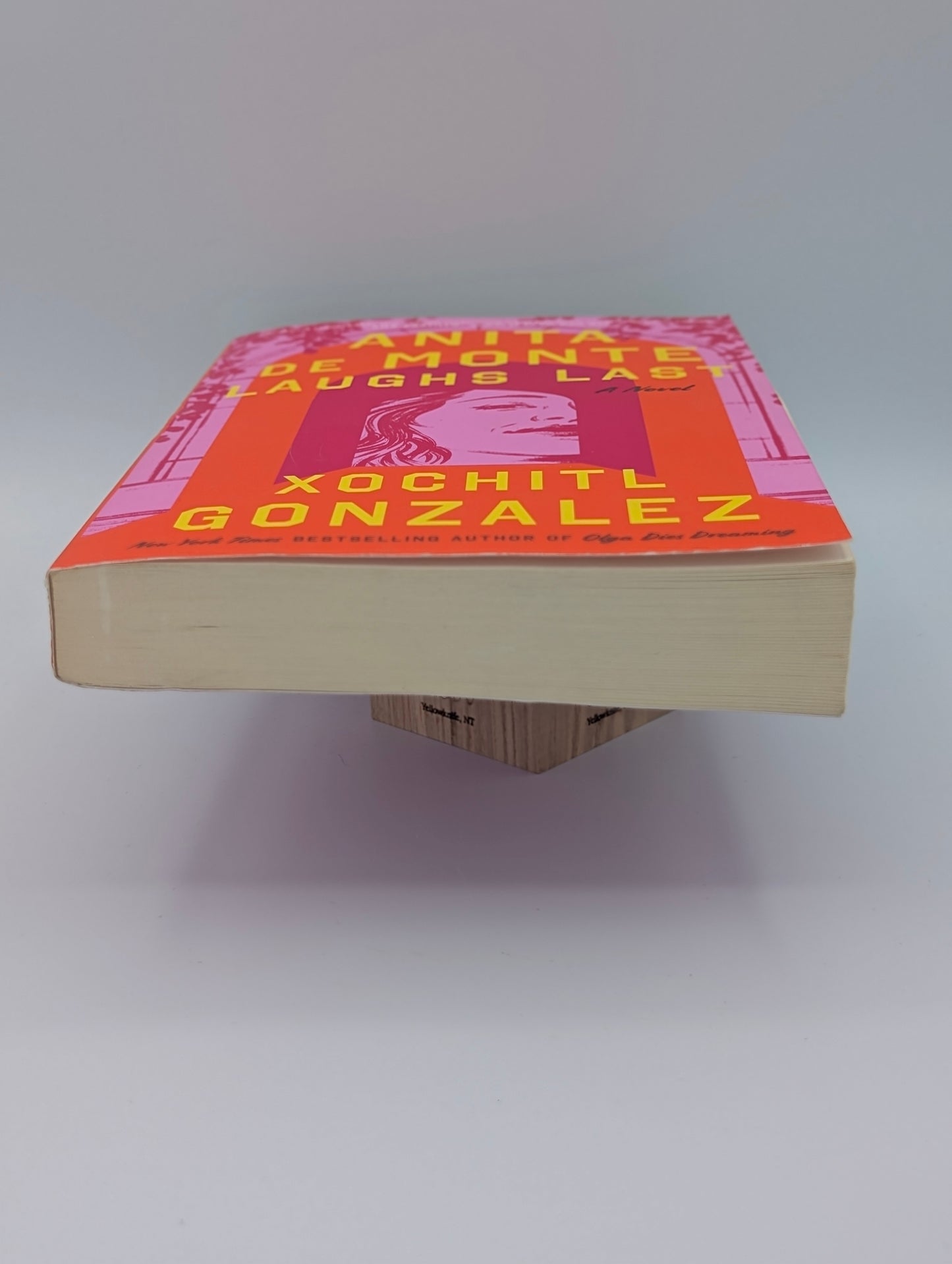 Anita de Monte Laughs Last: Reese's Book Club Pick (a Novel)
