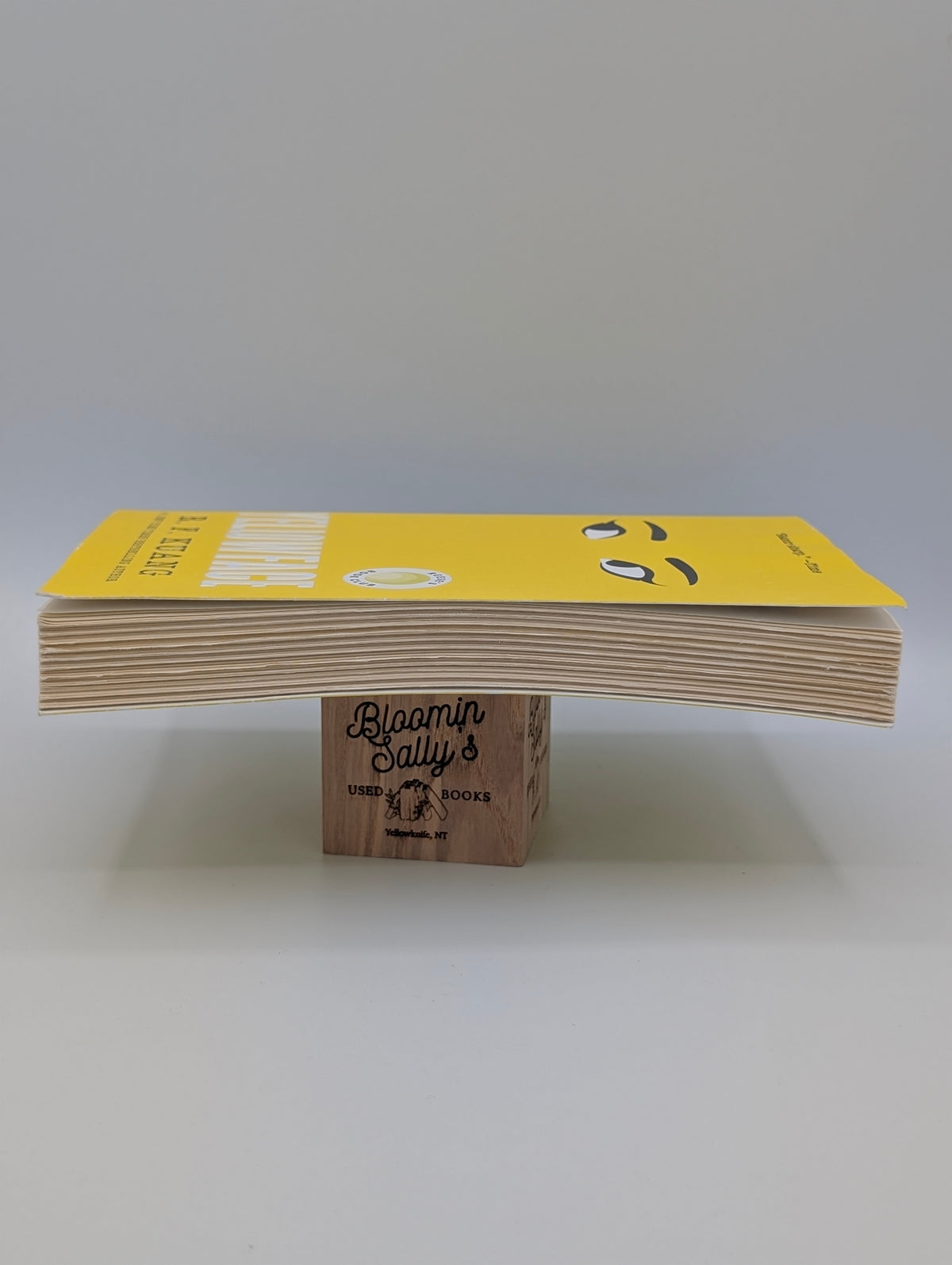 Yellowface: A Novel
