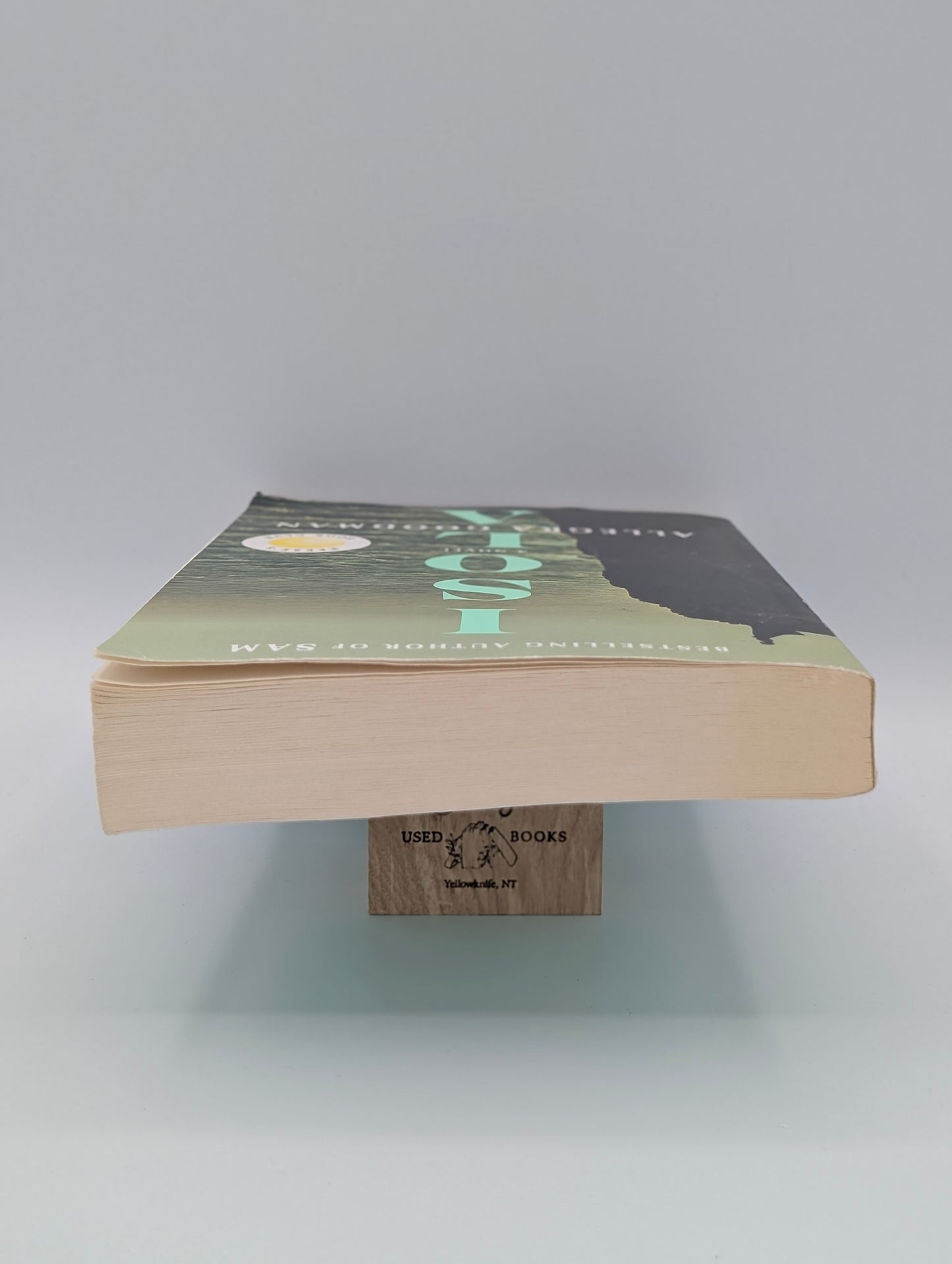 Isola: A Novel