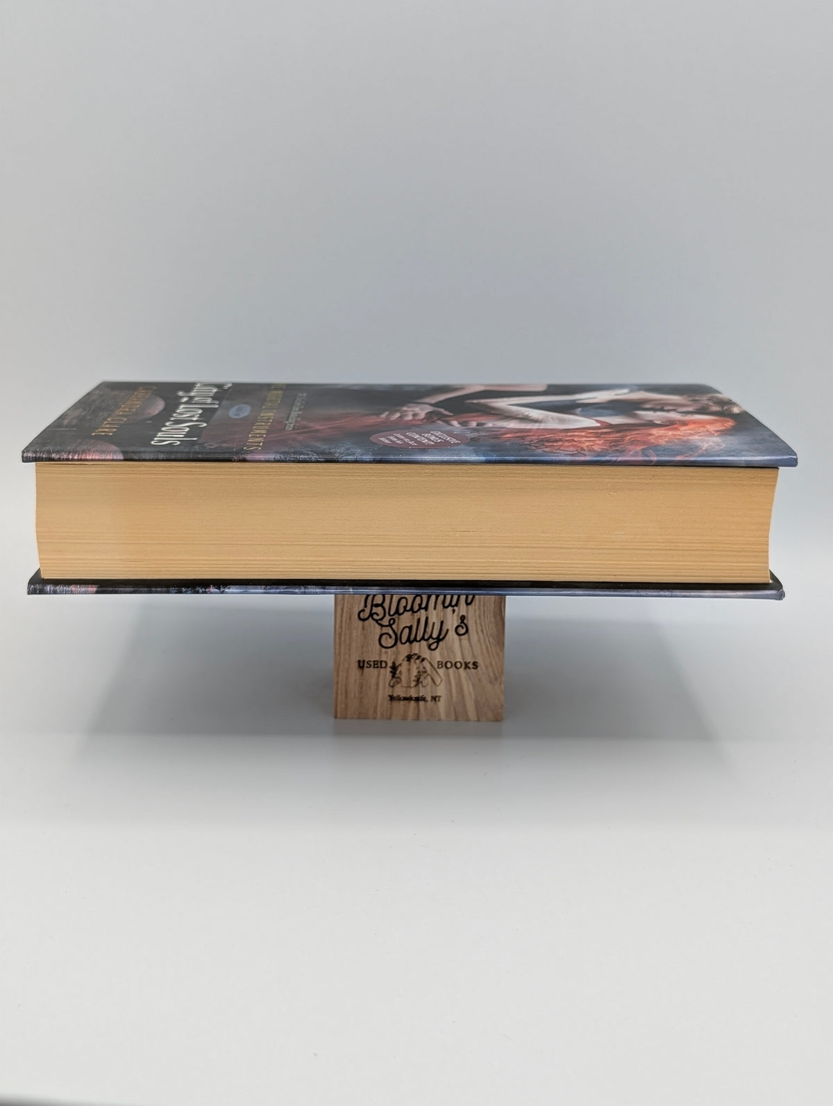 City of Lost Souls, Book Five, The Mortal Instruments