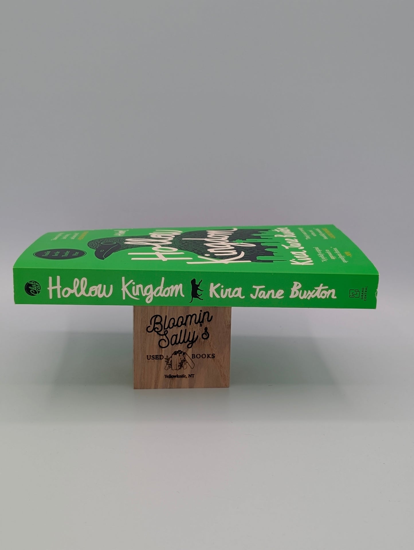 Hollow Kingdom
