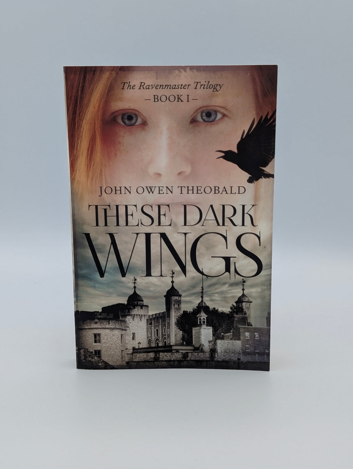 These Dark Wings (Ravenmaster Trilogy, 1)