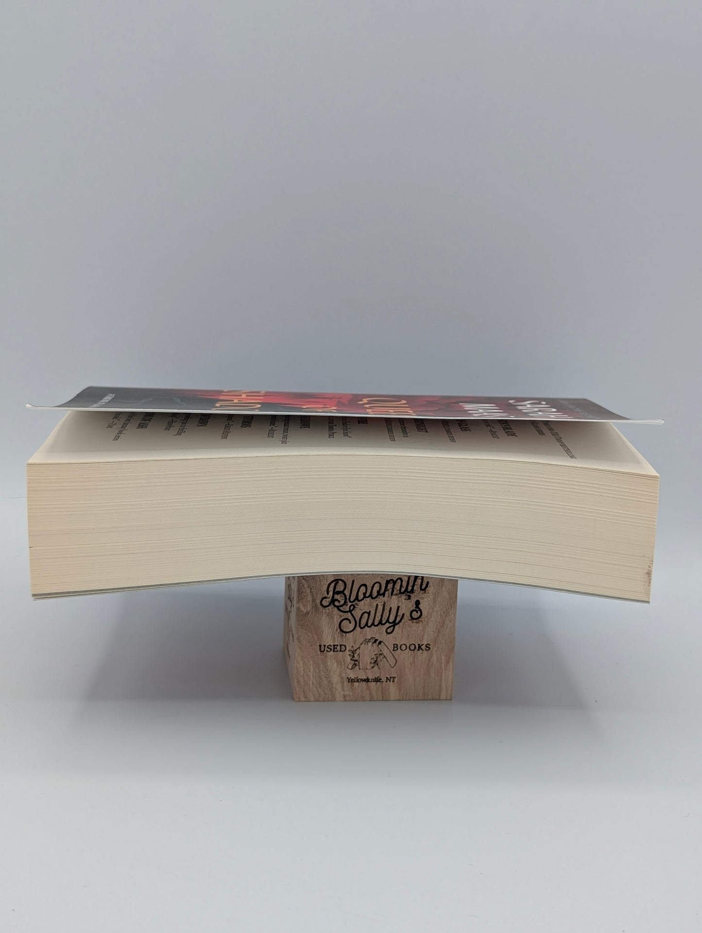 Queen of Shadows (Throne of Glass, 4)