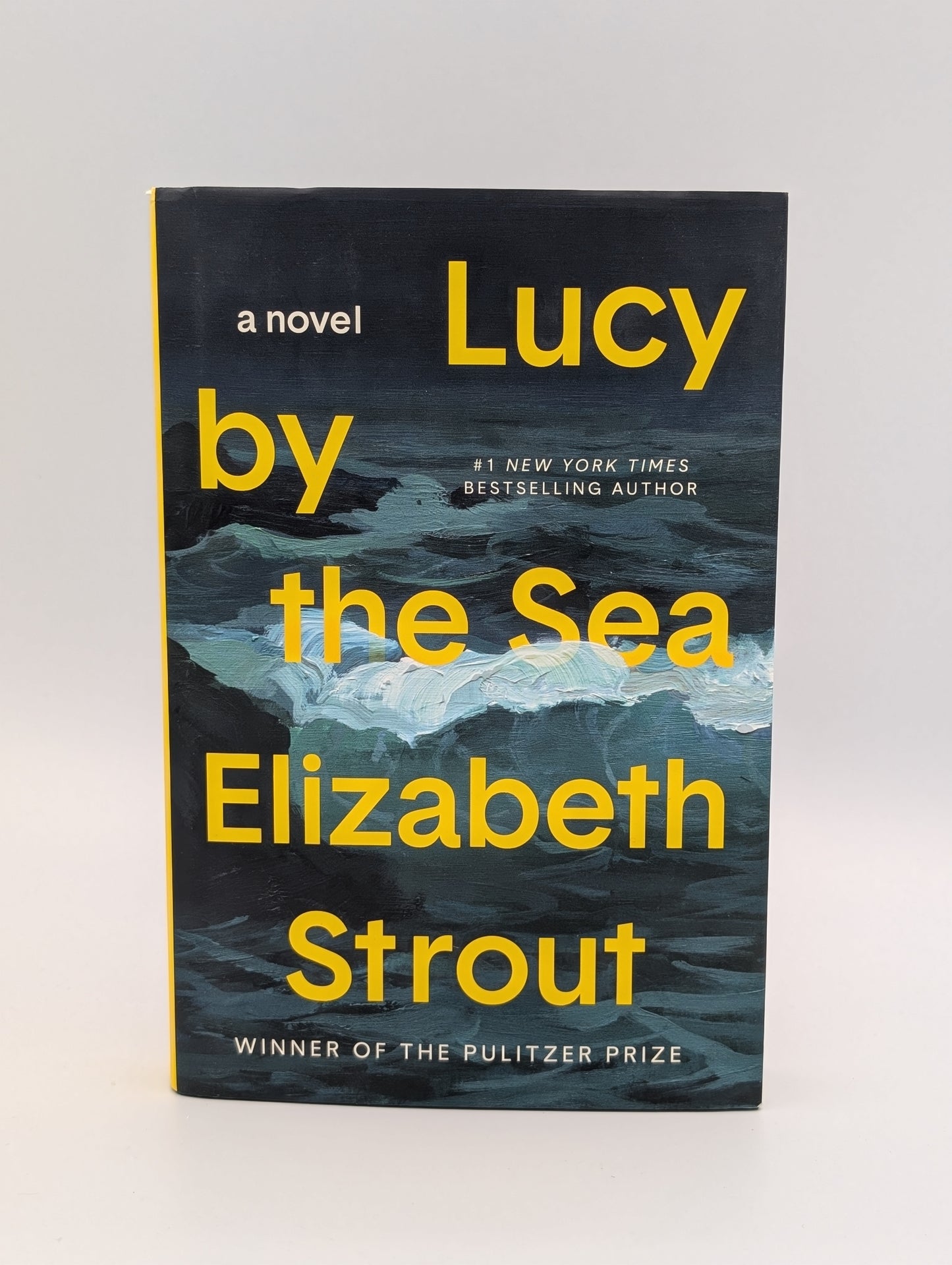Lucy by the Sea : Un roman