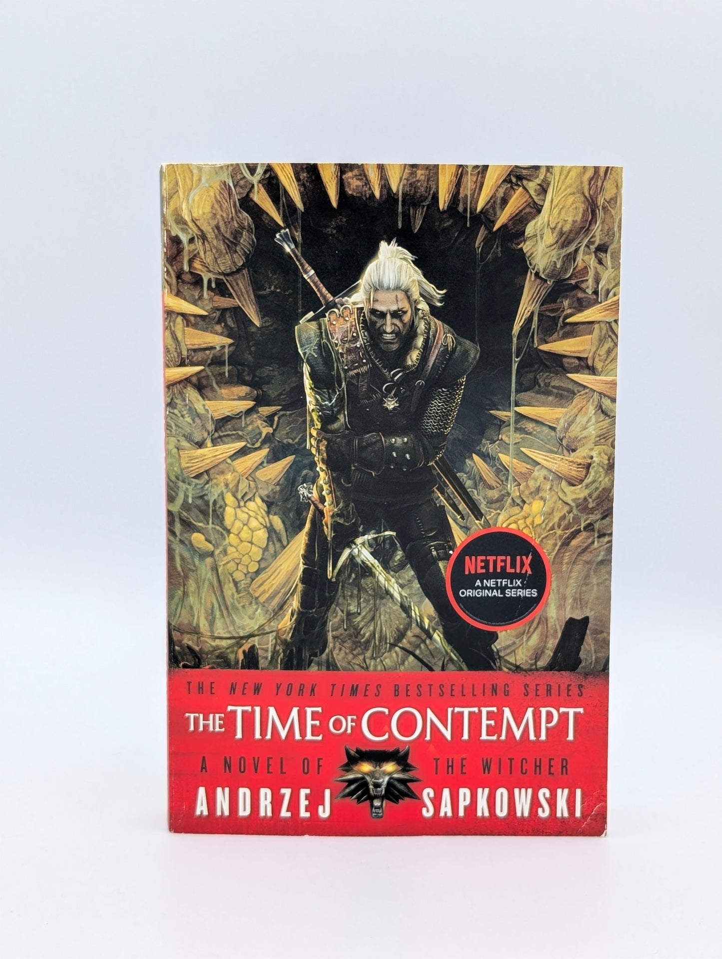 The Time of Contempt (The Witcher, 4)