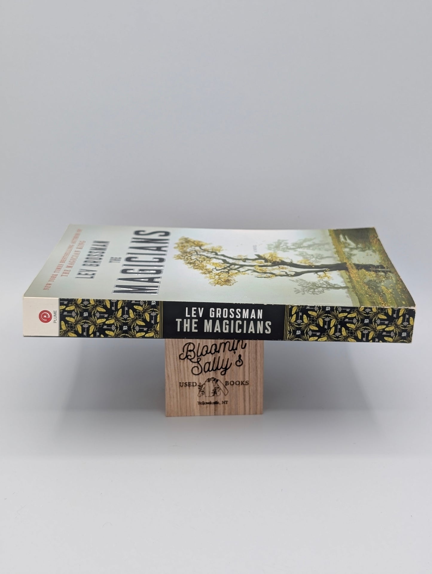 The Magicians: A Novel (Magicians Trilogy)