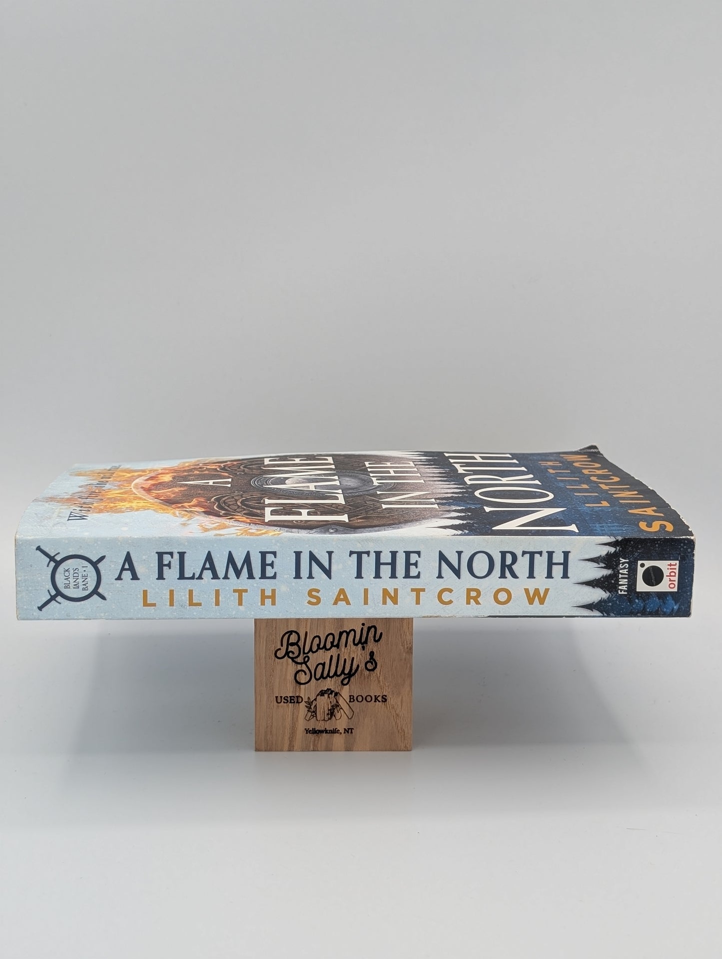 A Flame in the North (Black Land's Bane, 1)