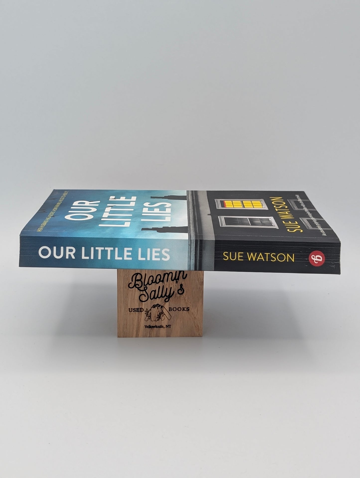 Our Little Lies: An absolutely gripping psychological thriller with a brilliant twist