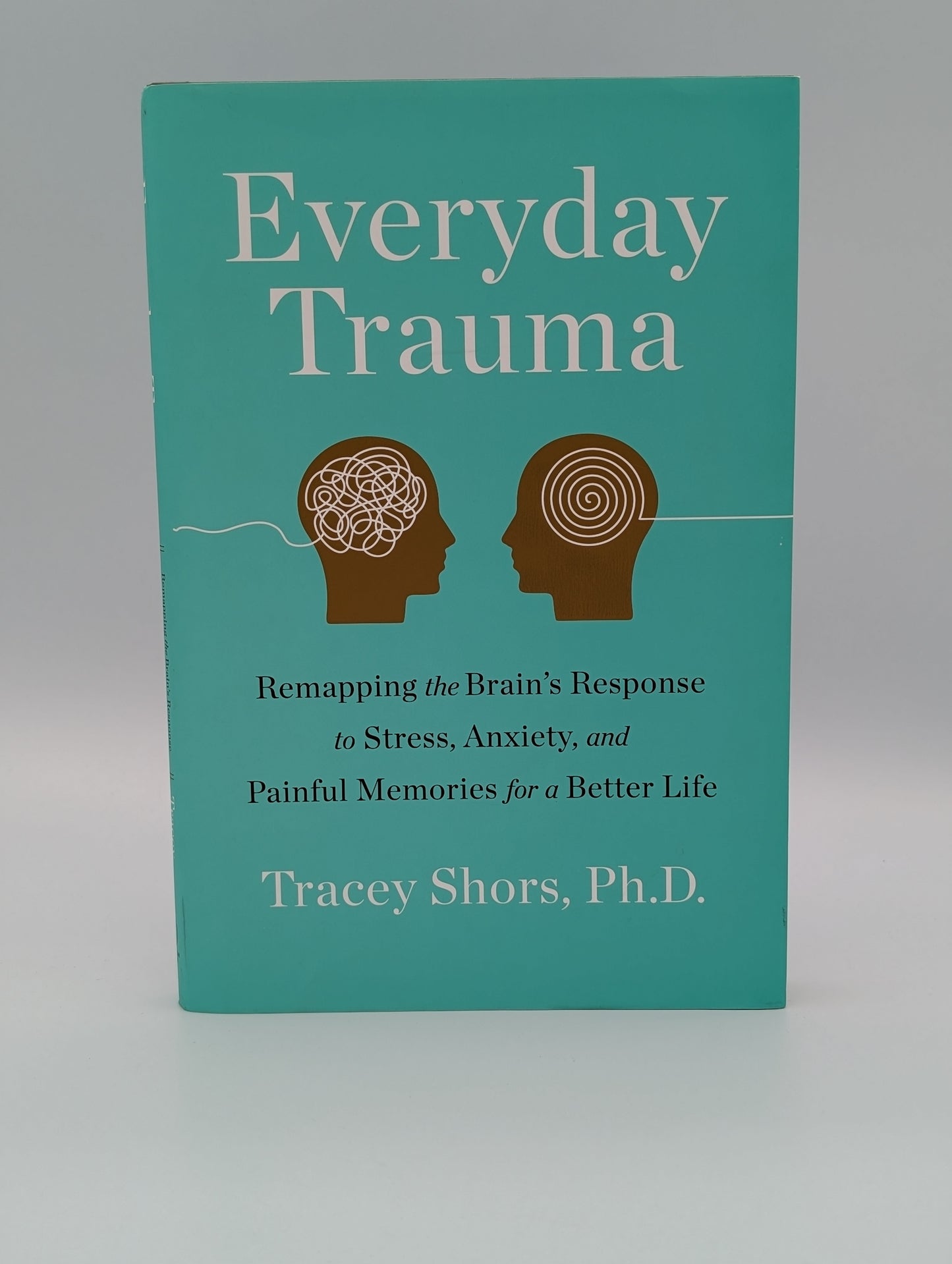 Everyday Trauma: Remapping the Brain's Response to Stress, Anxiety, and Painful Memories for a Better Life