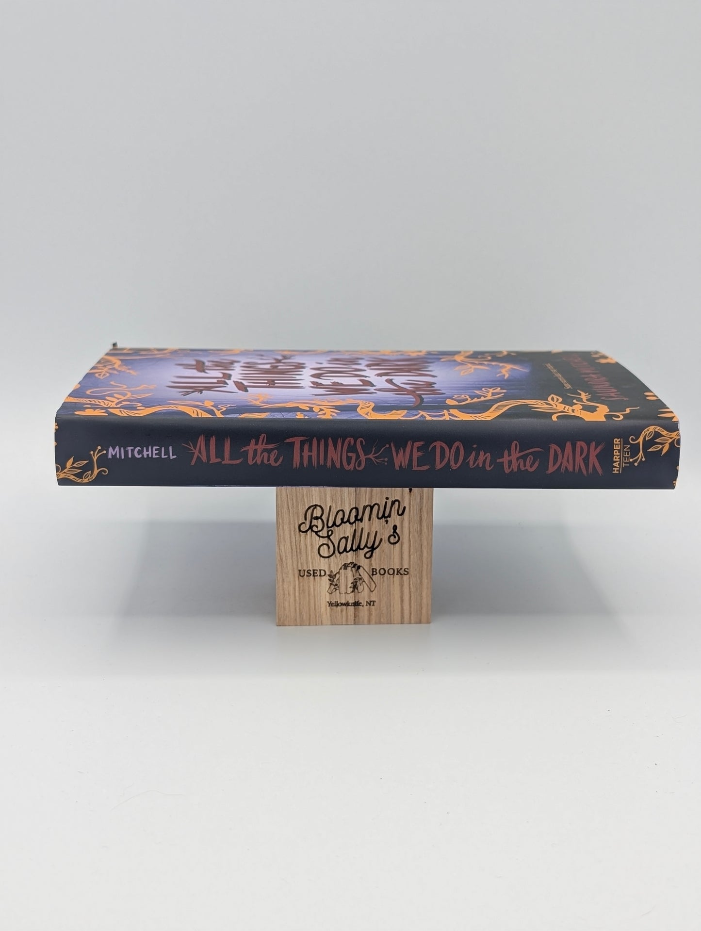 All the Things We Do in the Dark: A Dark YA Thriller of Secrets and Scars
