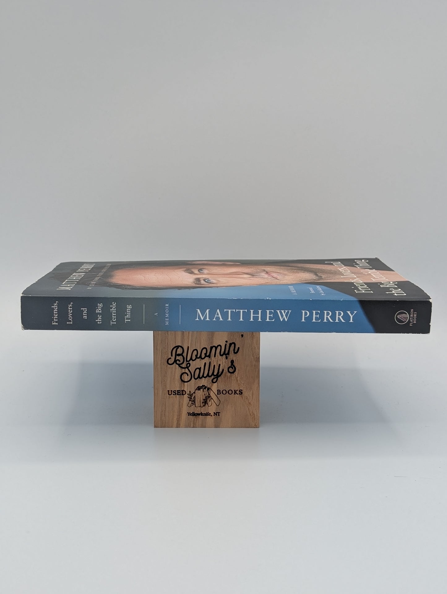 Friends, Lovers, and the Big Terrible Thing: A Memoir