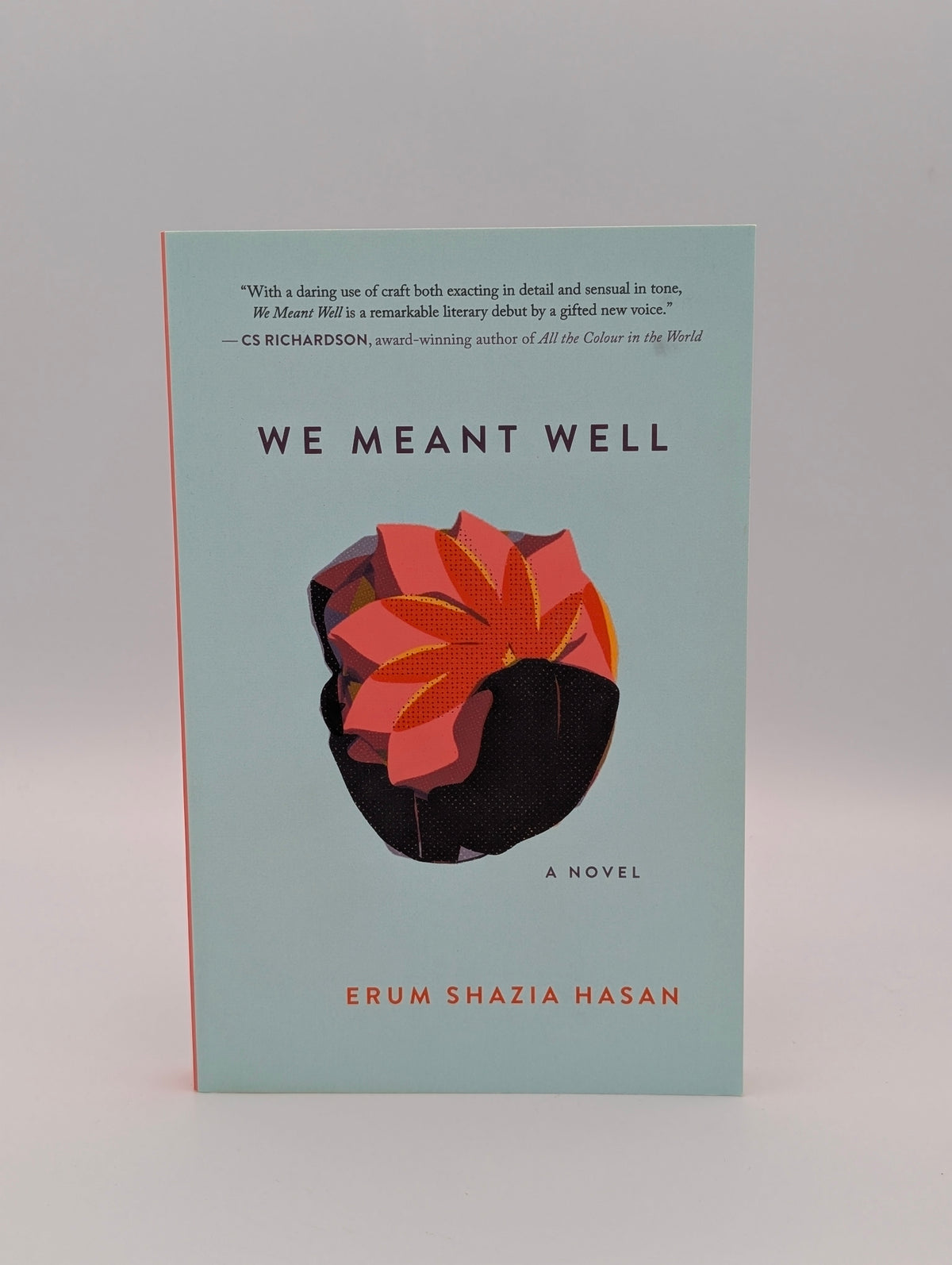We Meant Well: A Novel