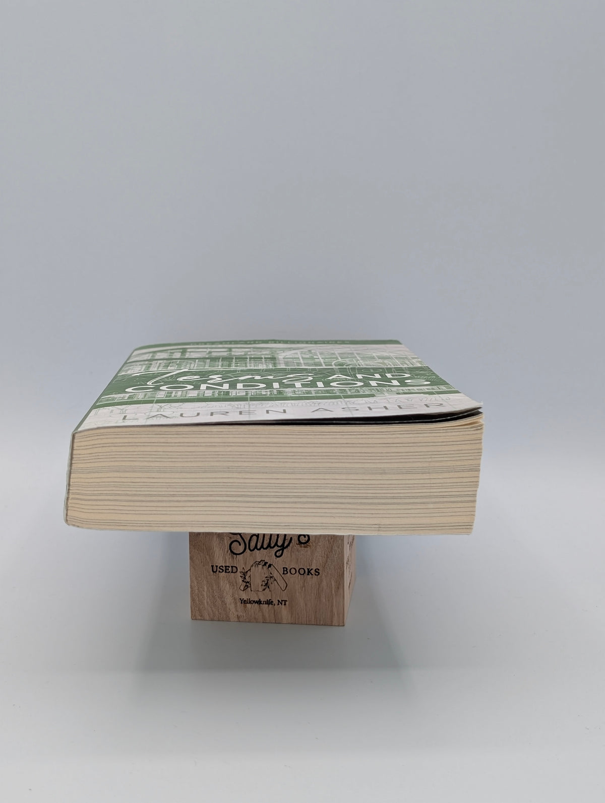 Terms and Conditions: Dreamland Billionaires, 2