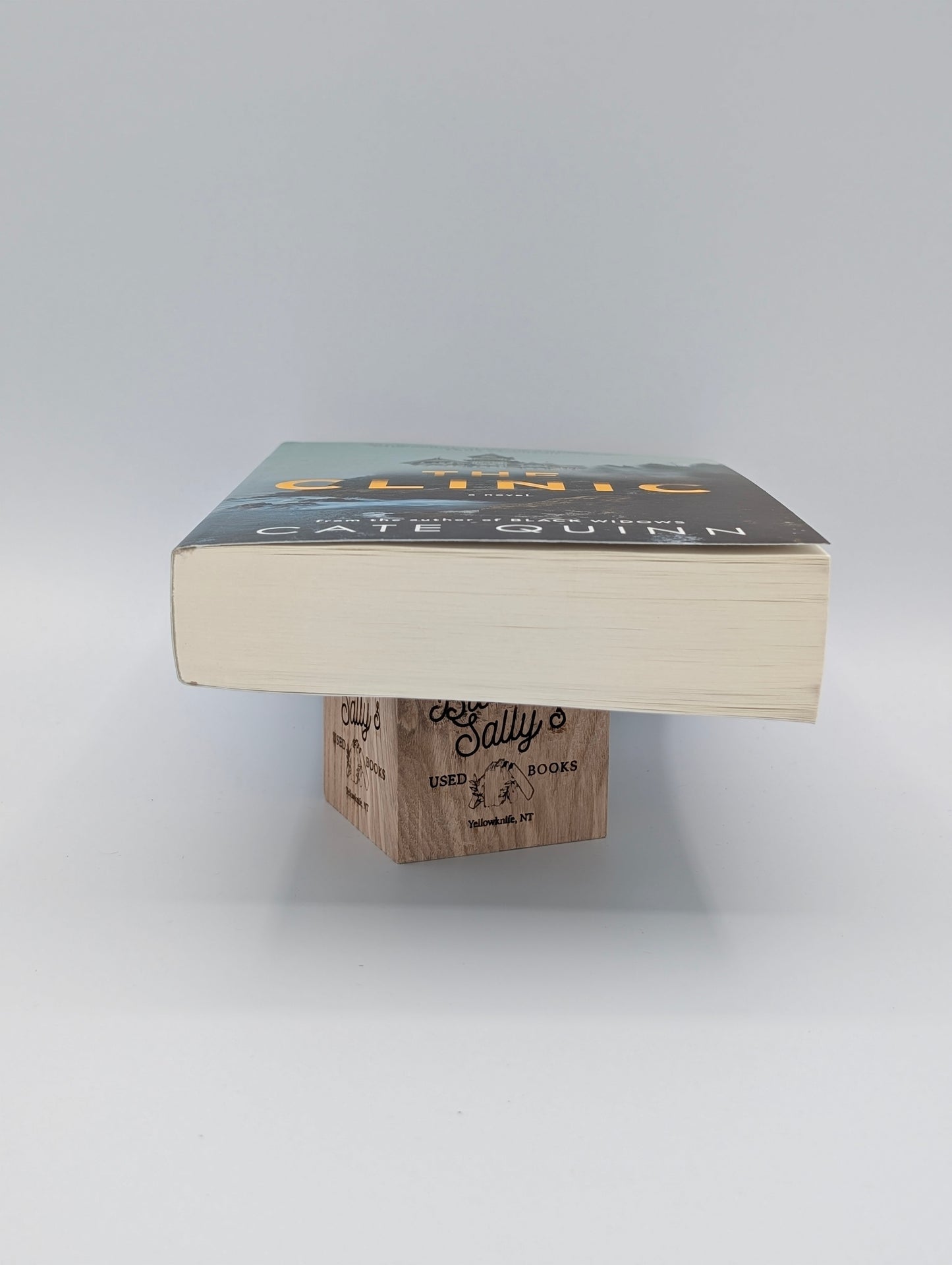 The Clinic: A Novel