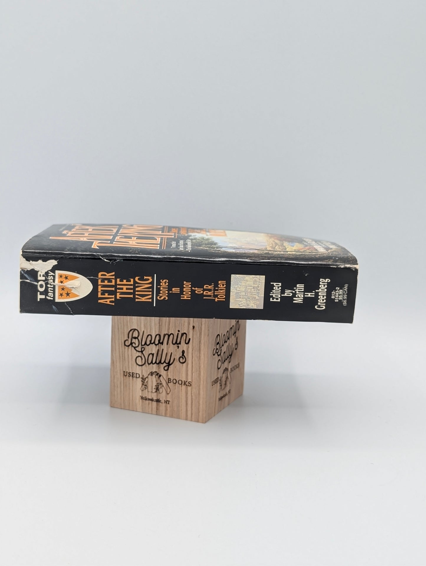After the King: Stories In Honor of J.R.R. Tolkien