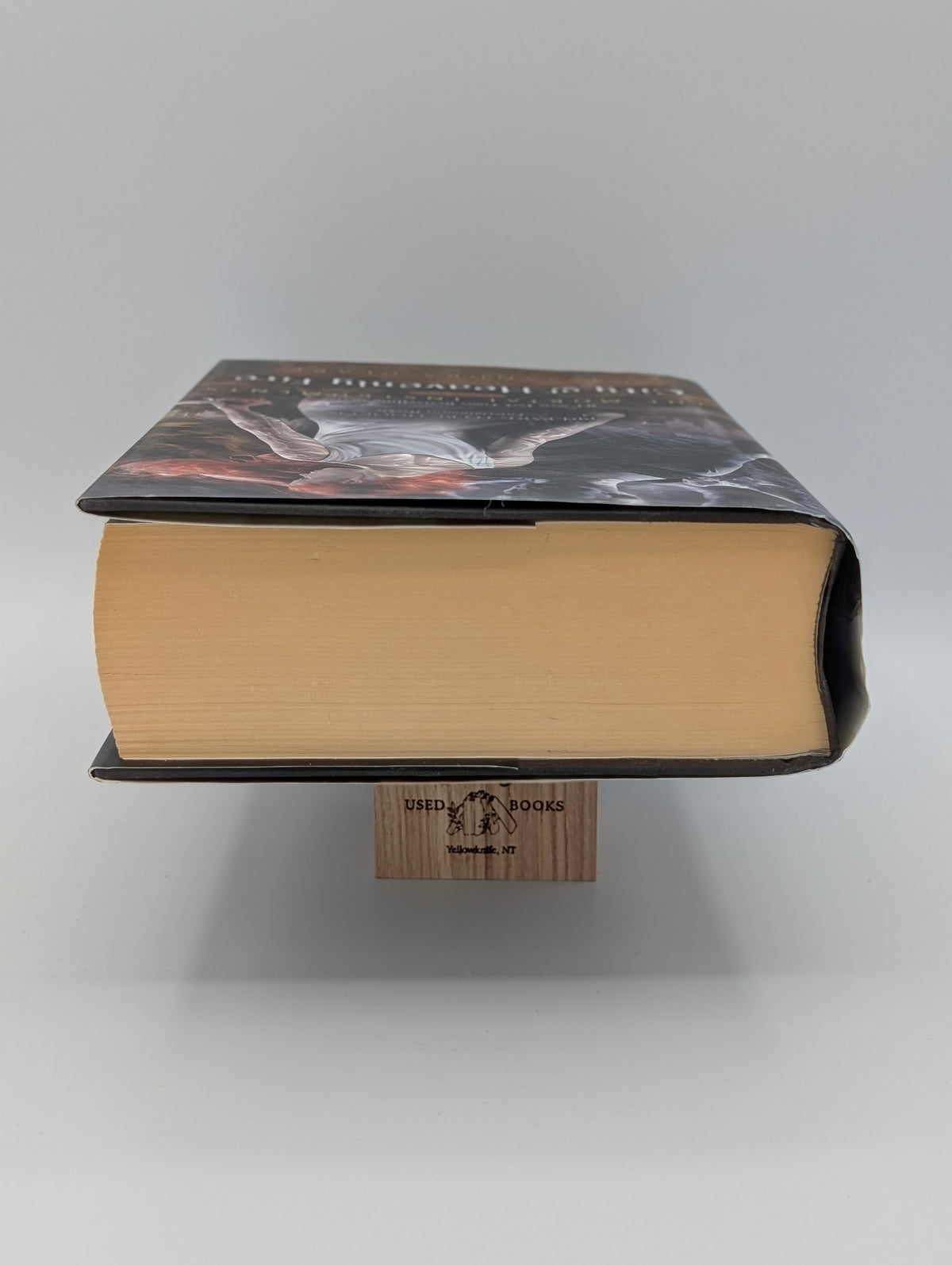 City of Heavenly Fire (The Mortal Instruments)