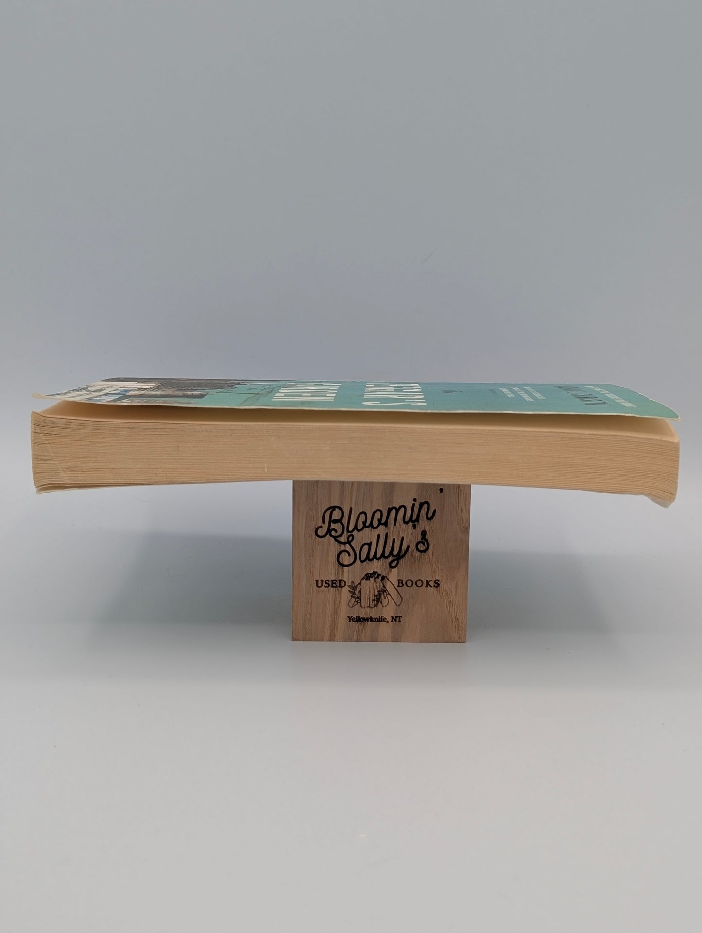 The Beggar's Garden: Stories, The