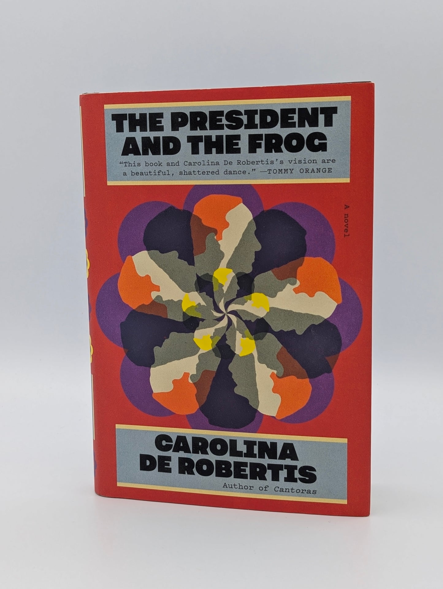 The President and the Frog: A novel