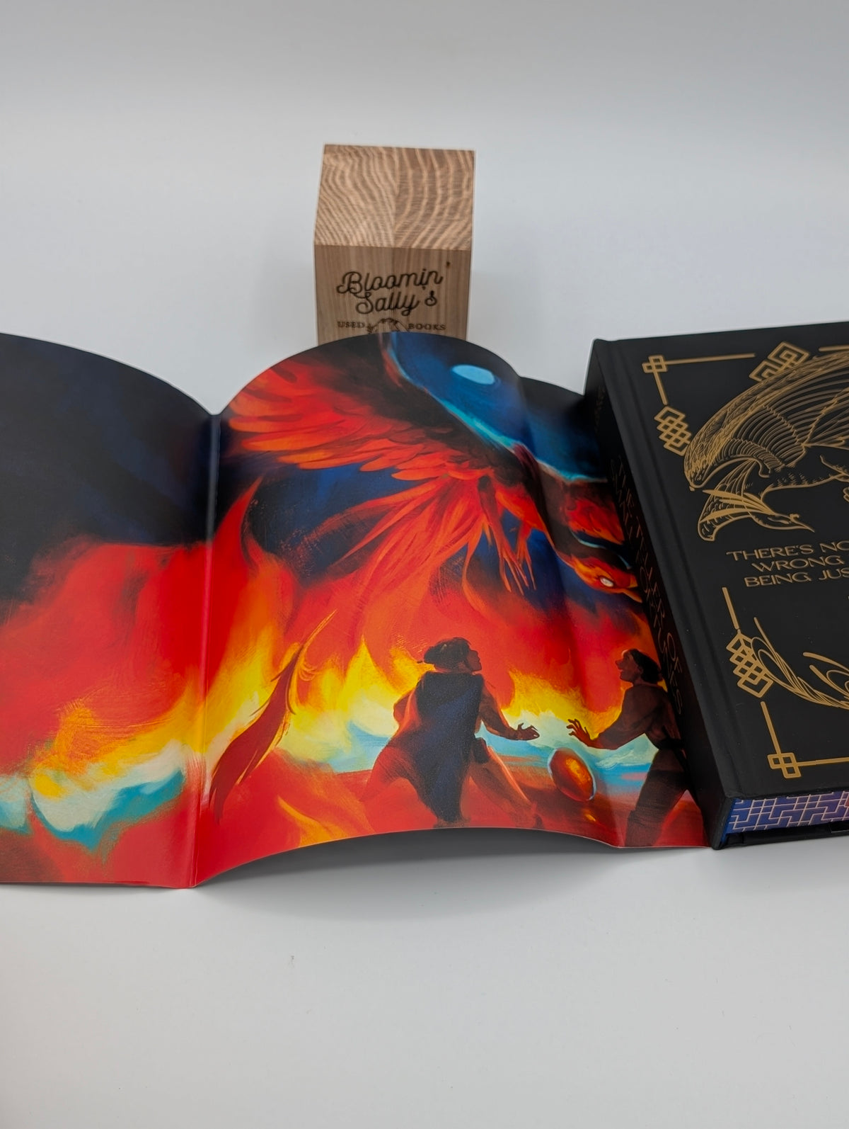 The Teller of Small Fortunes – OwlCrate SE; Fine