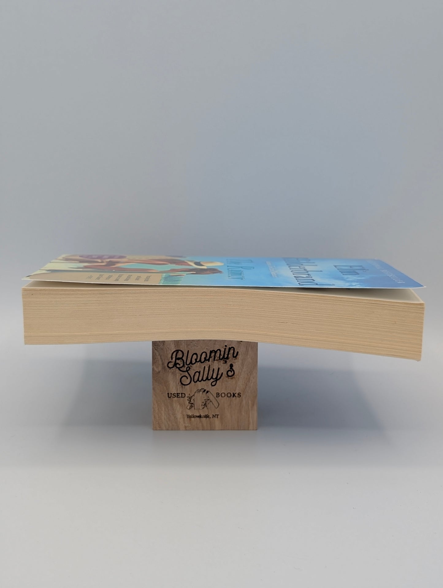 The Rumor: A Novel