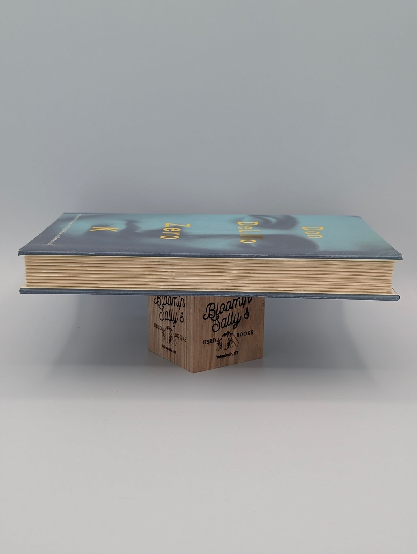 Zero K: A Novel