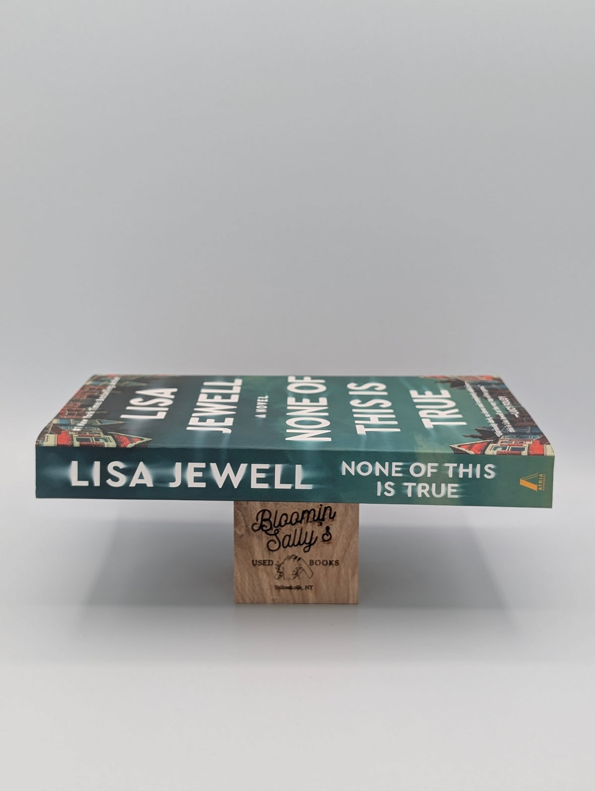None of This Is True: A Novel