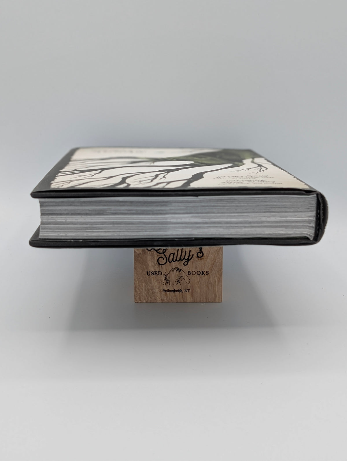 Speak: The Graphic Novel