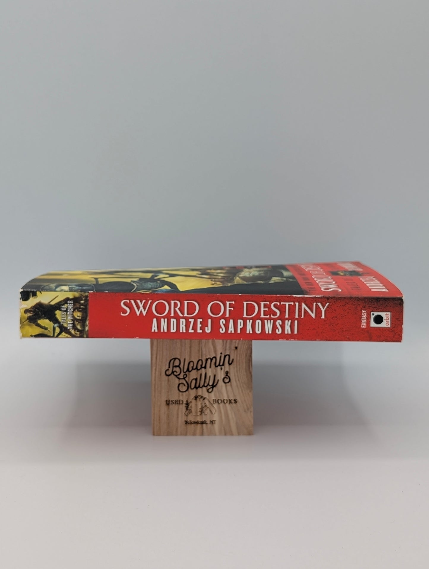 Sword of Destiny (The Witcher, 2)
