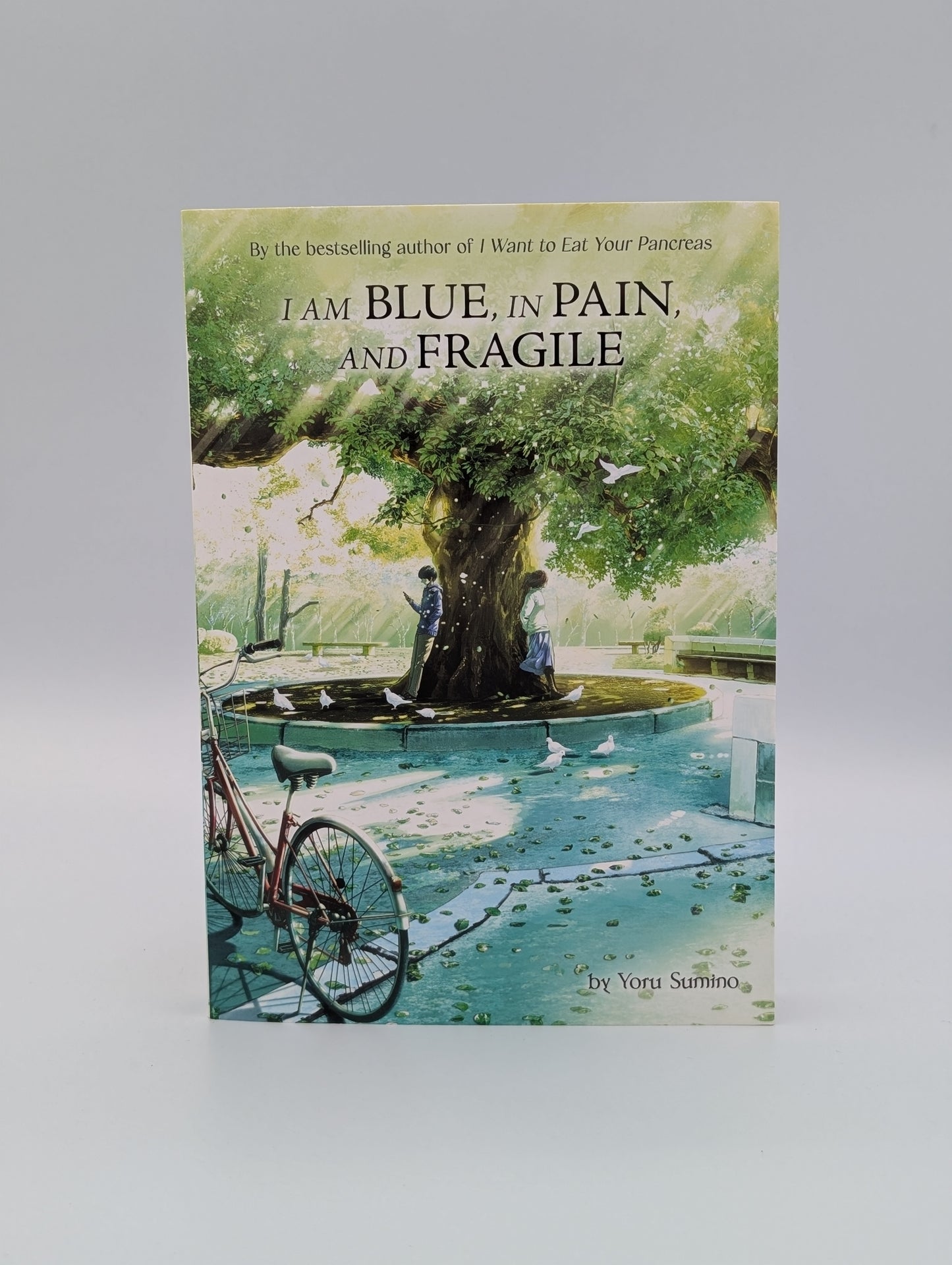 I am Blue, in Pain, and Fragile (Light Novel)