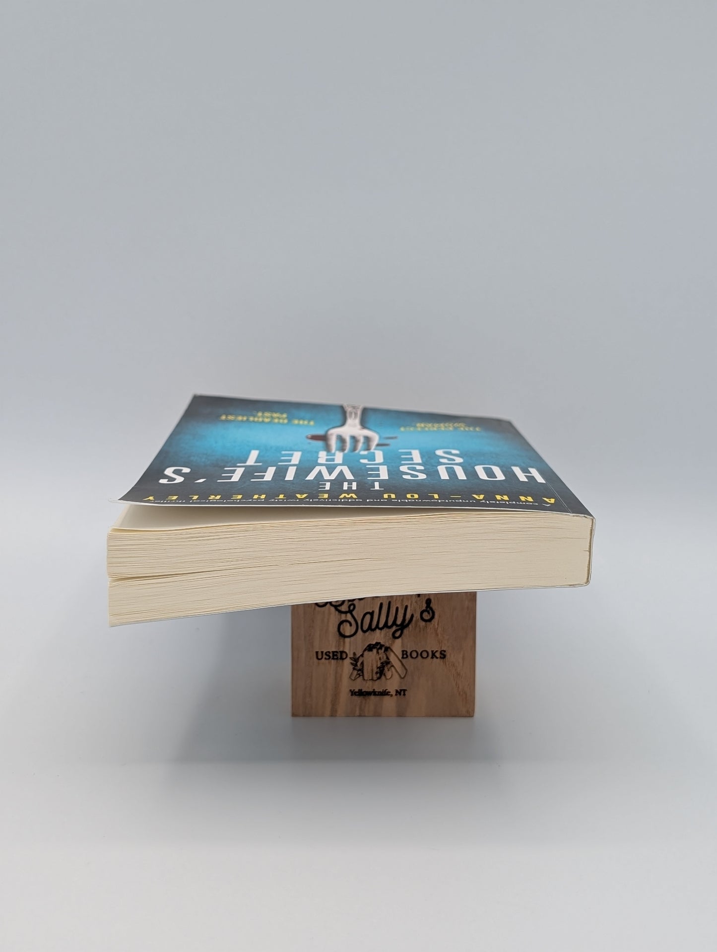 The Housewife's Secret: A completely unputdownable and addictively twisty psychological thriller (Detective Dan Riley)