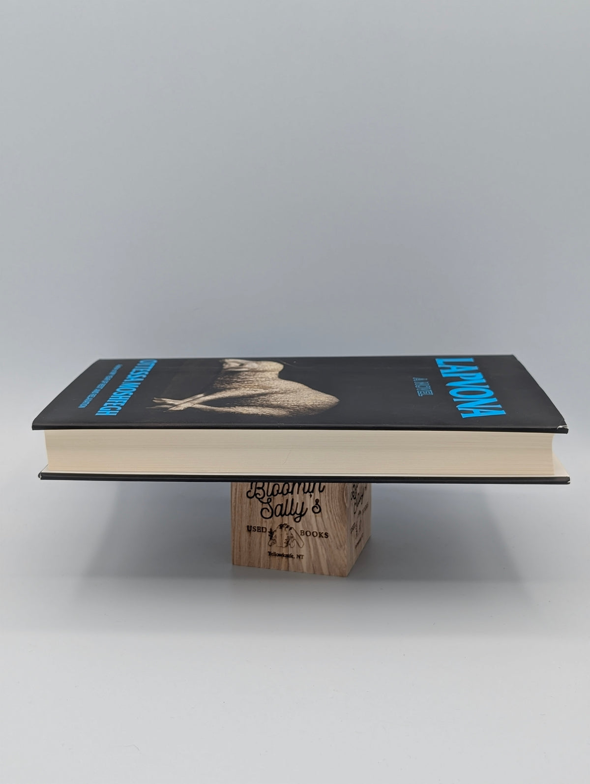 Lapvona: A Novel