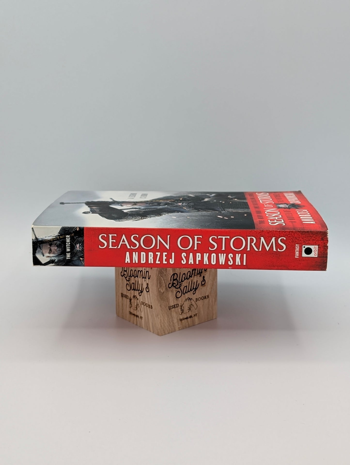 Season of Storms (The Witcher, 8)