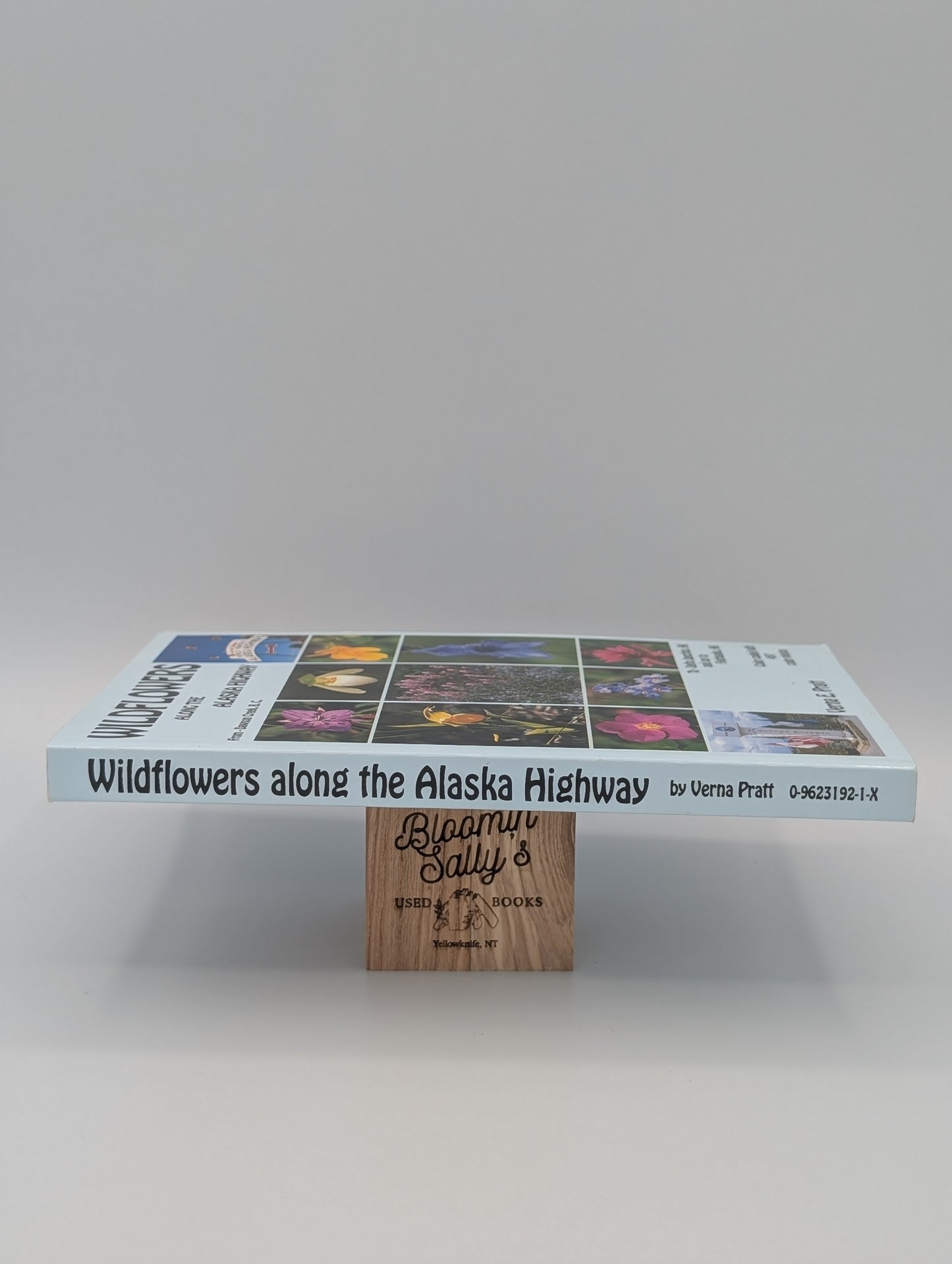 Wildflowers Along the Alaska Highway