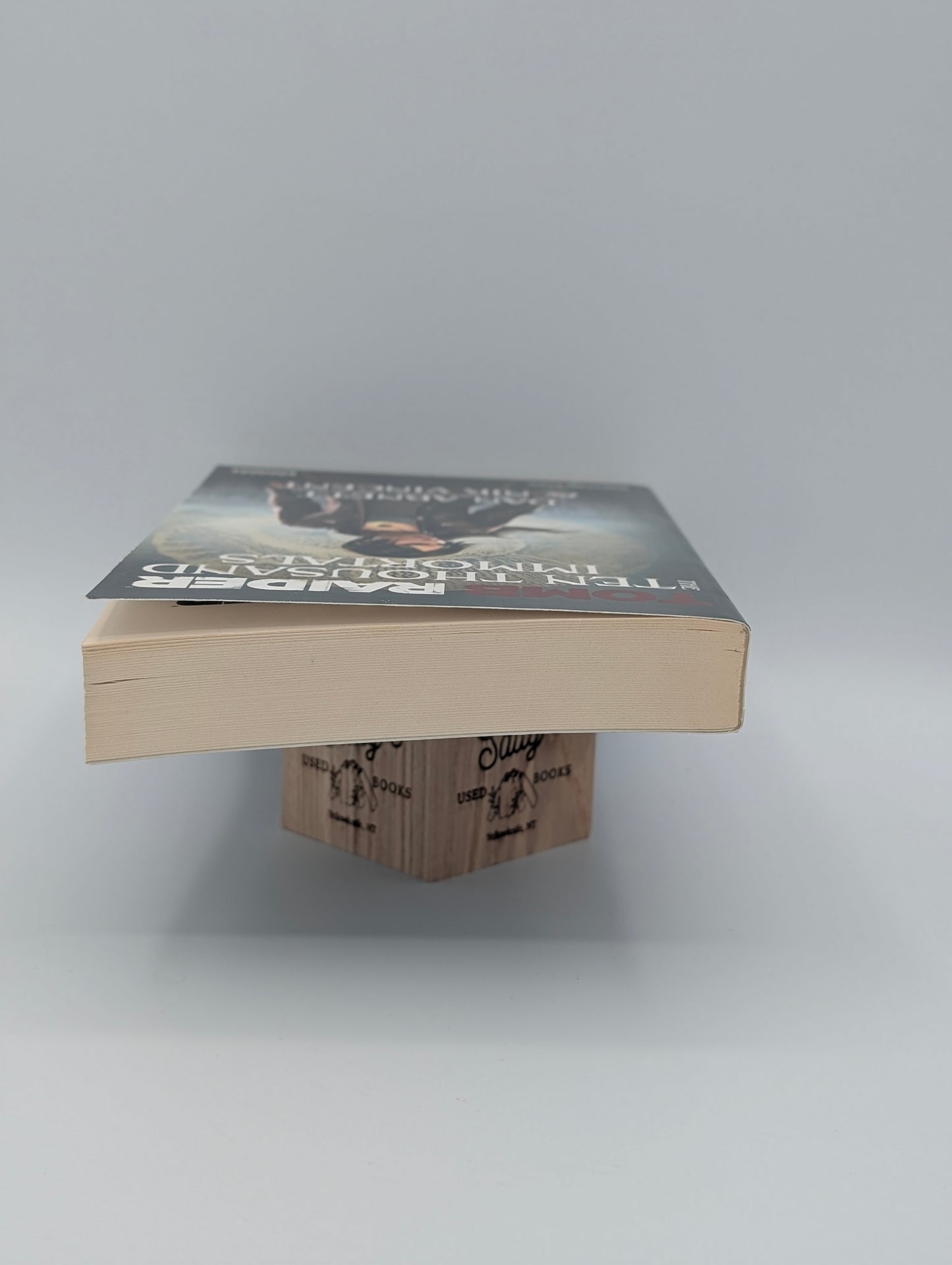 The Ten Thousand Immortals