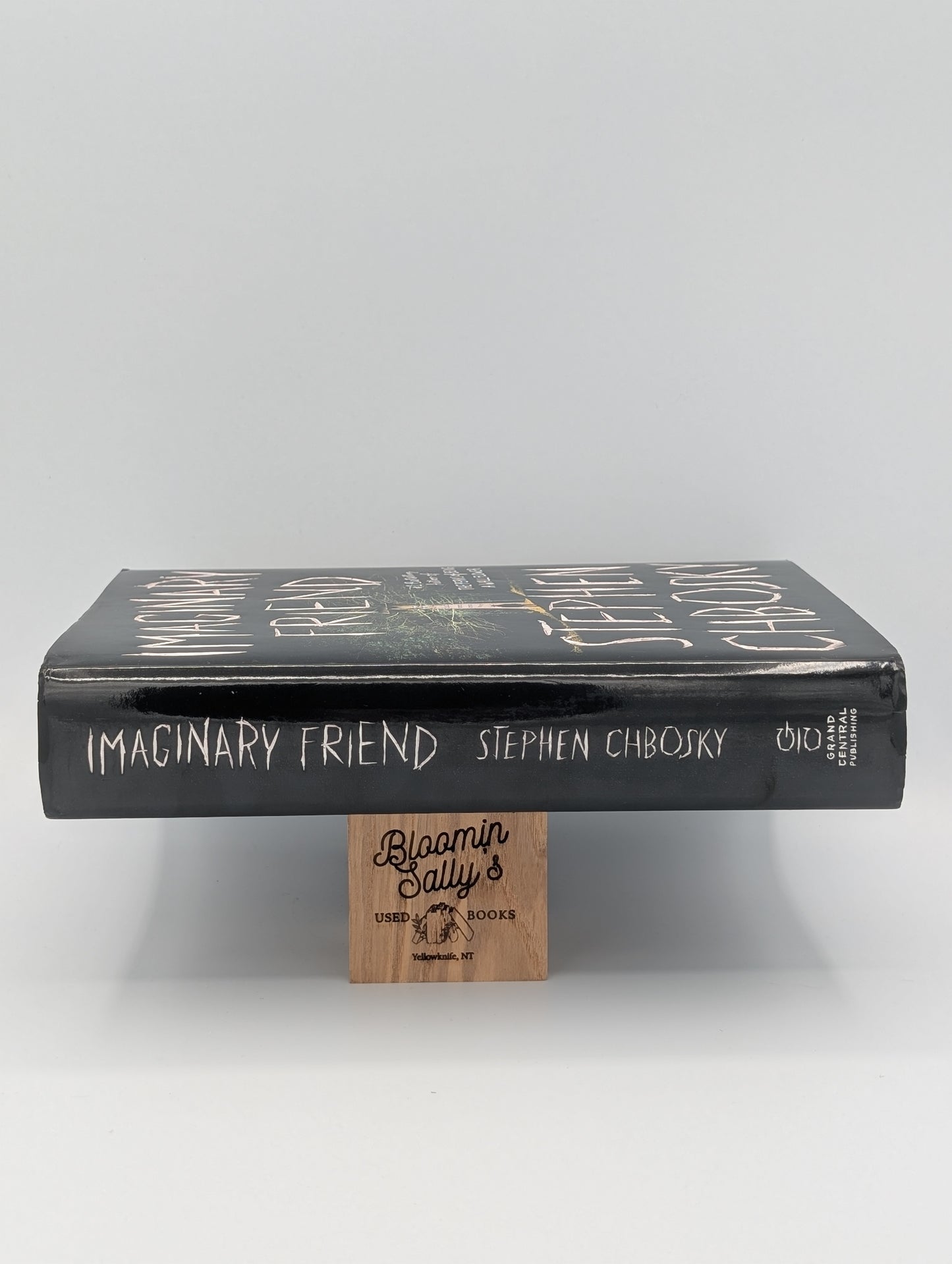 Imaginary Friend