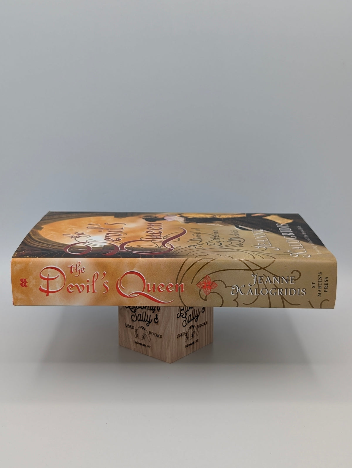 The Devil's Queen: A Novel of Catherine de Medici