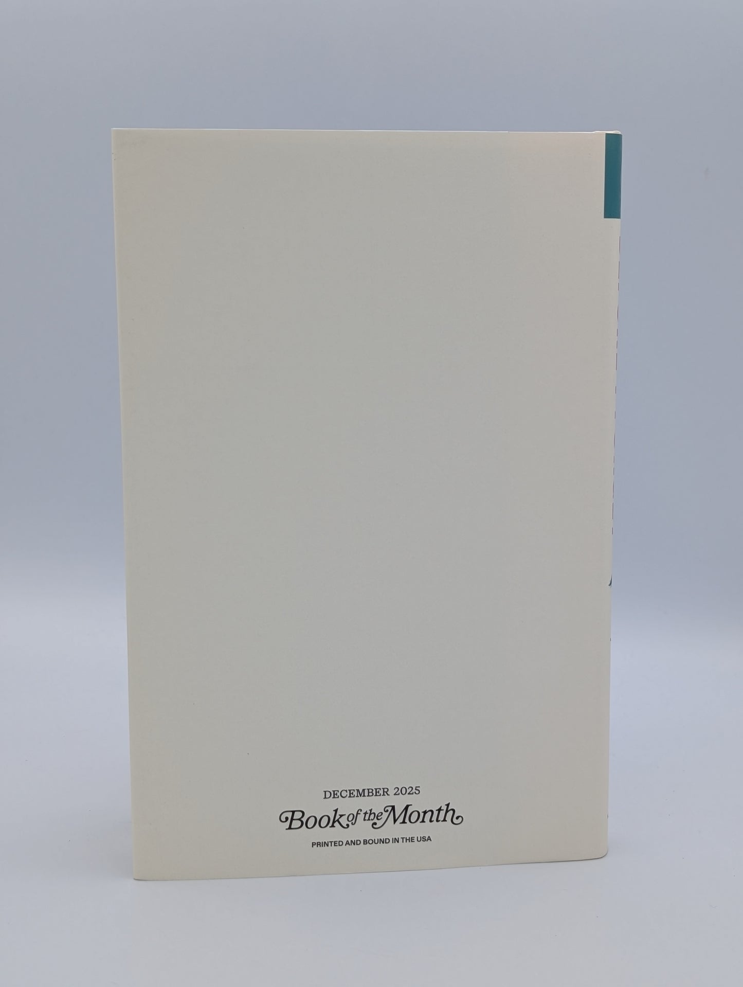 Before I Forget: A Novel (BOTM)