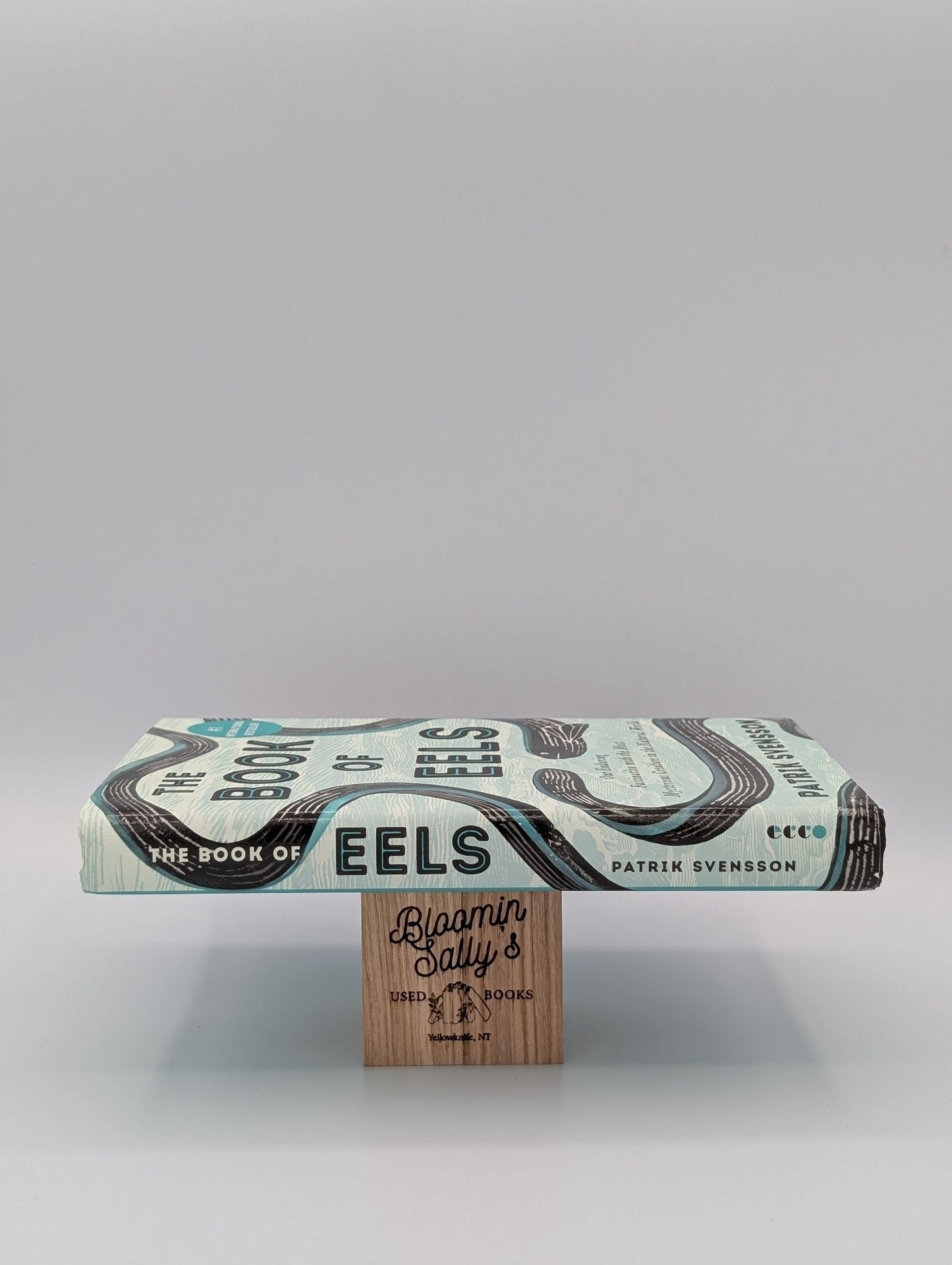 The Book of Eels: Our Enduring Fascination with the Most Mysterious Creature in the Natural World