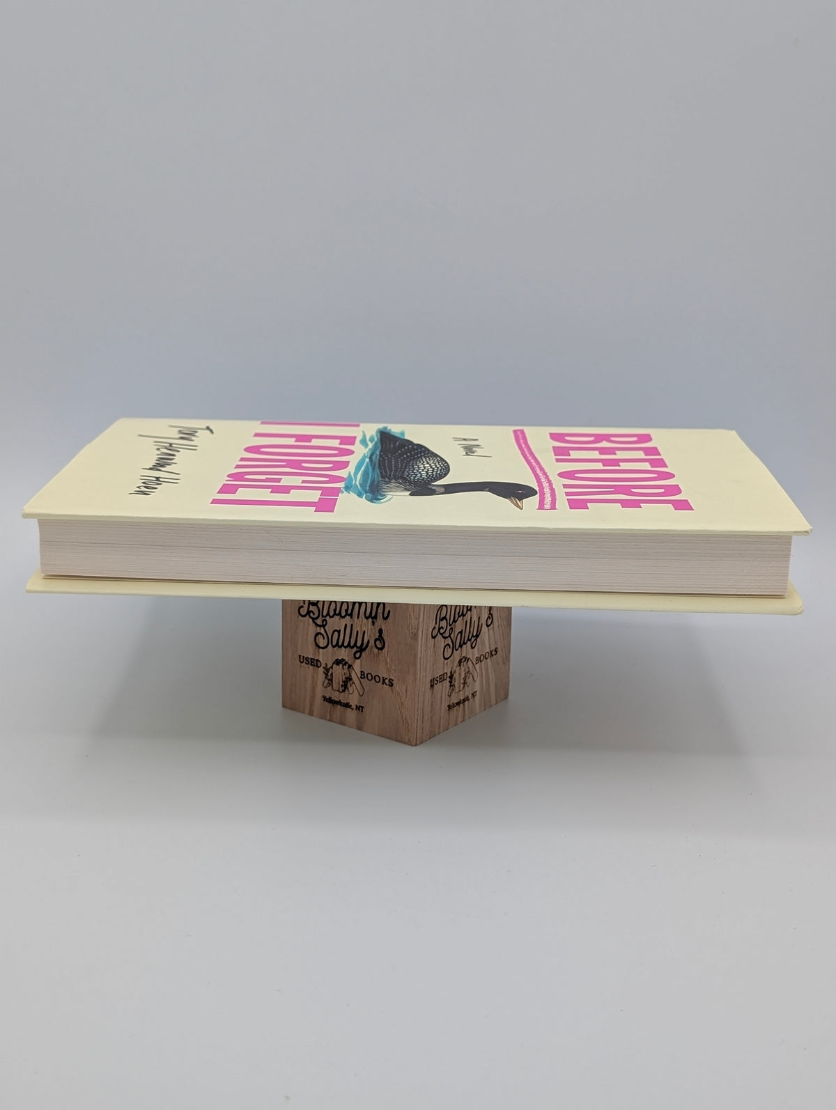 Before I Forget: A Novel