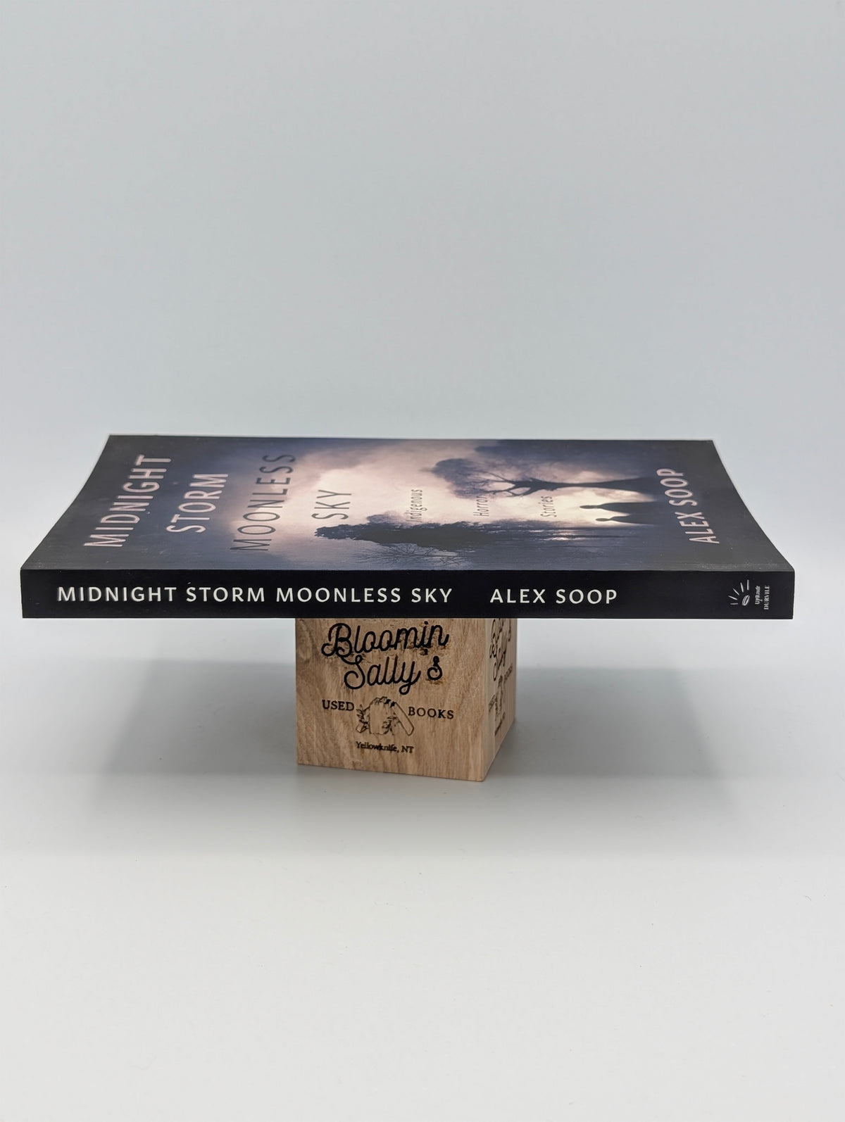 Midnight Storm Moonless Sky: Indigenous Horror Stories (Indigenous Spirit, 1)