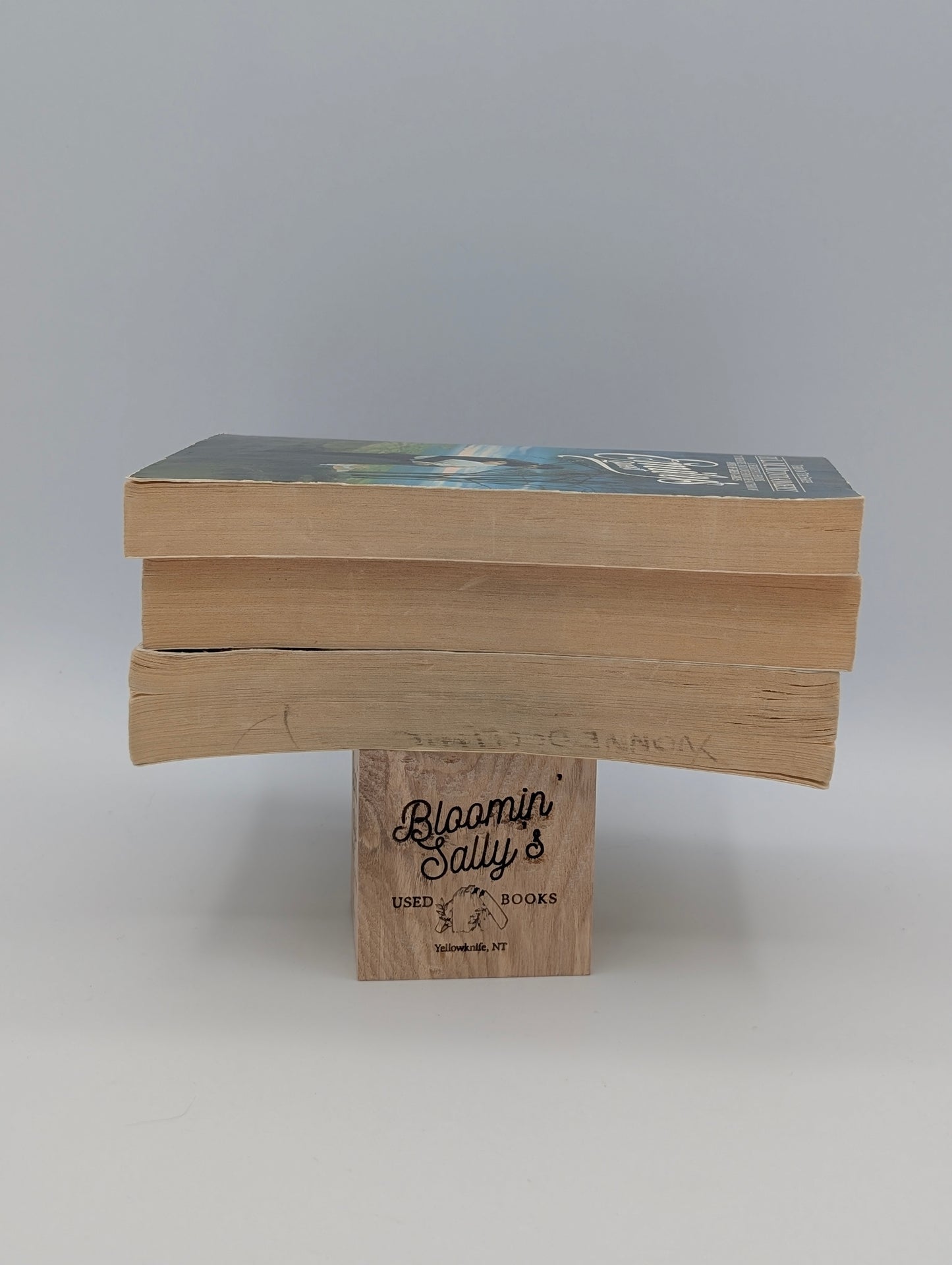 Emily of New Moon Bundle