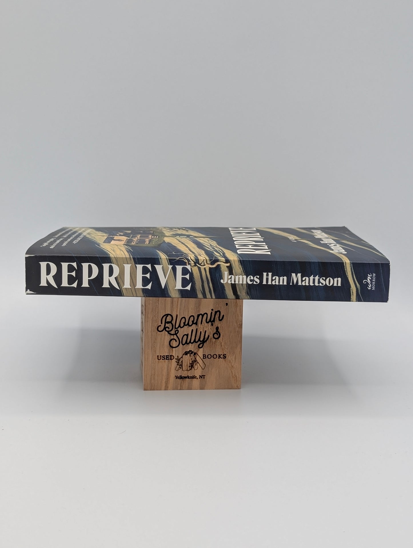 Reprieve: A Novel