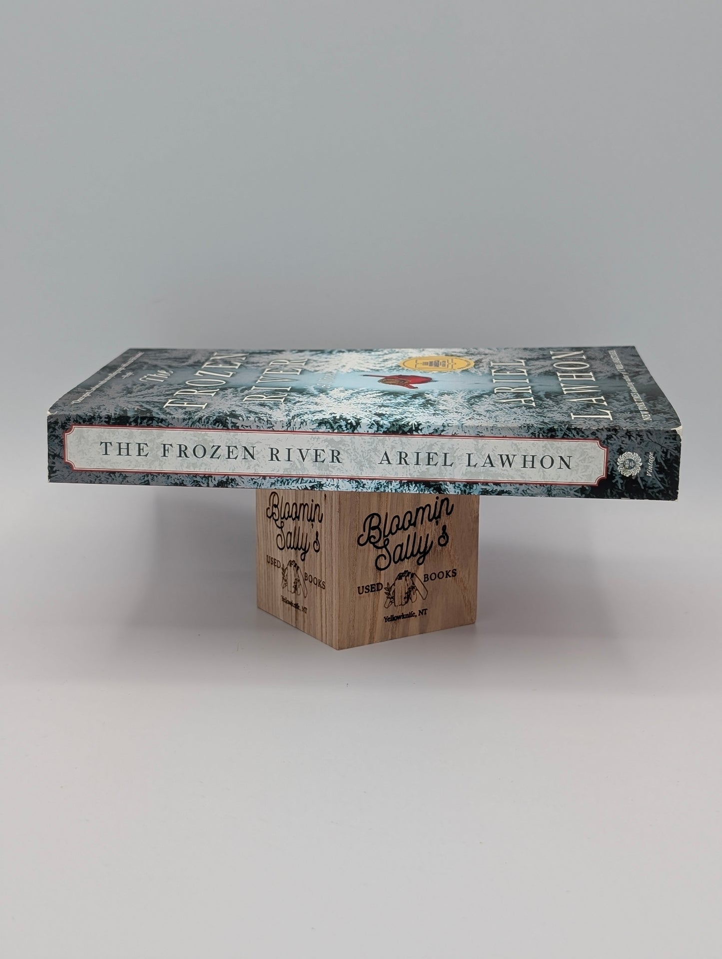 The Frozen River: A GMA Book Club Pick: A Novel