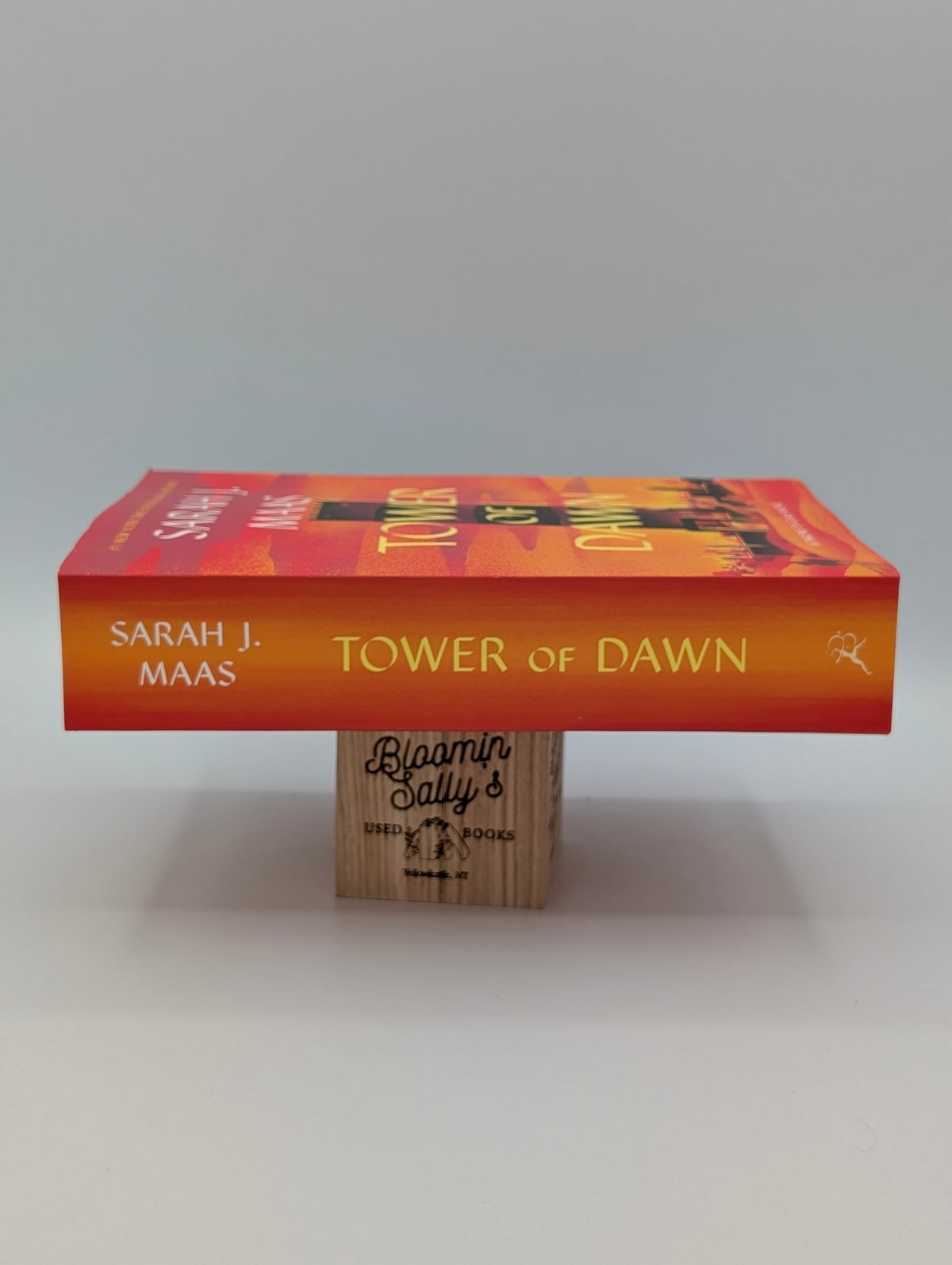 Tower of Dawn (Throne of Glass, 6)