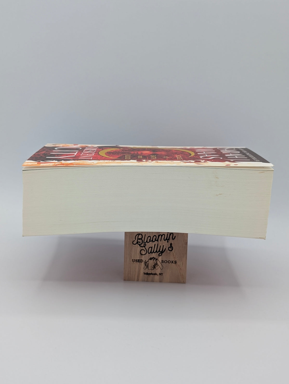House of Earth and Blood (Crescent City, 1)