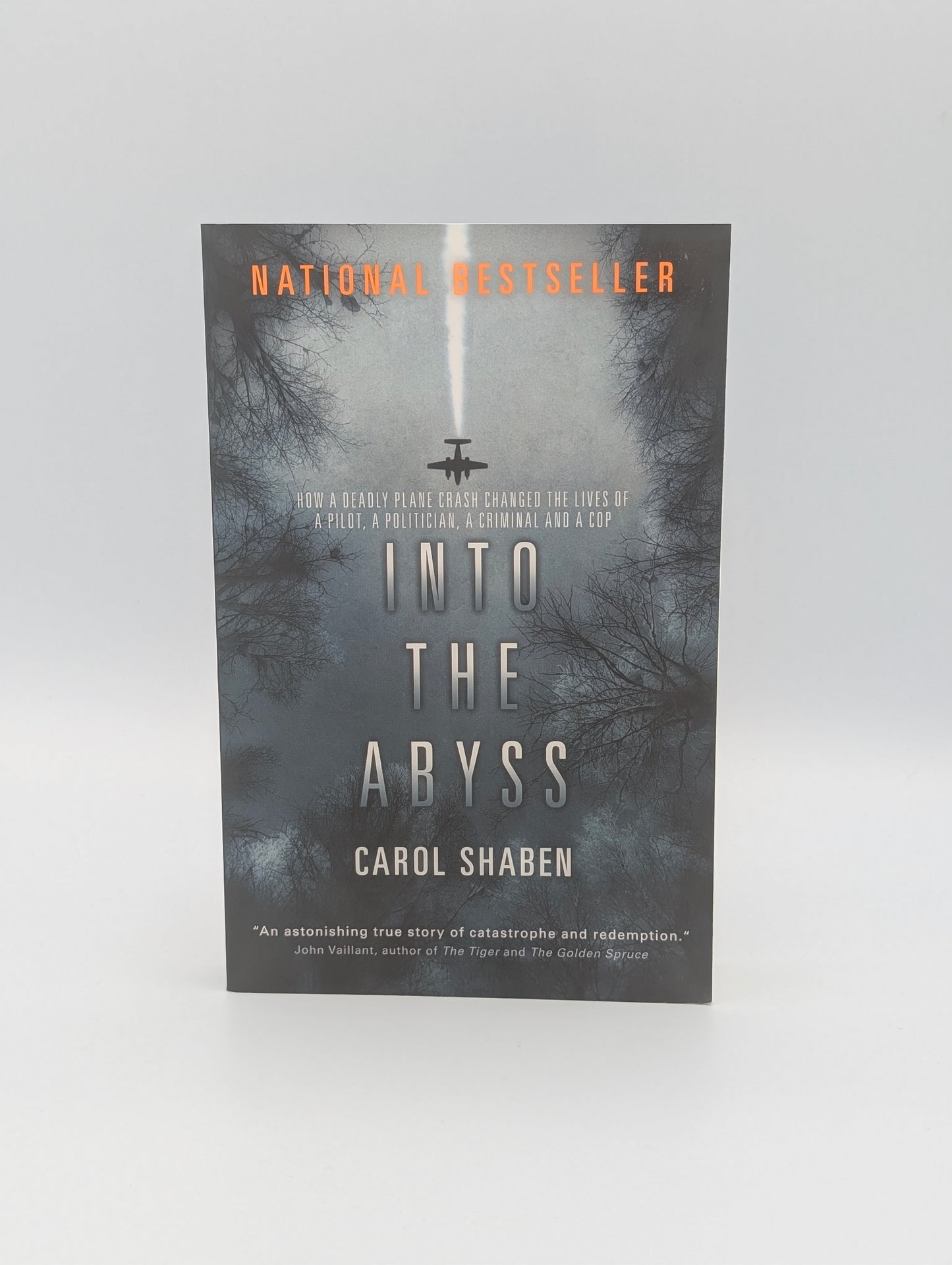 Into the Abyss: How a Deadly Plane Crash Changed the Lives of a Pilot, a Politician, a Criminal and a Cop