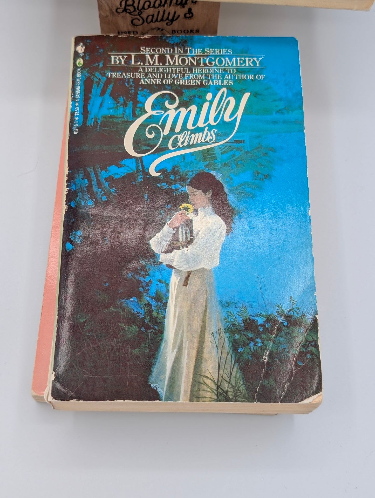 Emily of New Moon Bundle