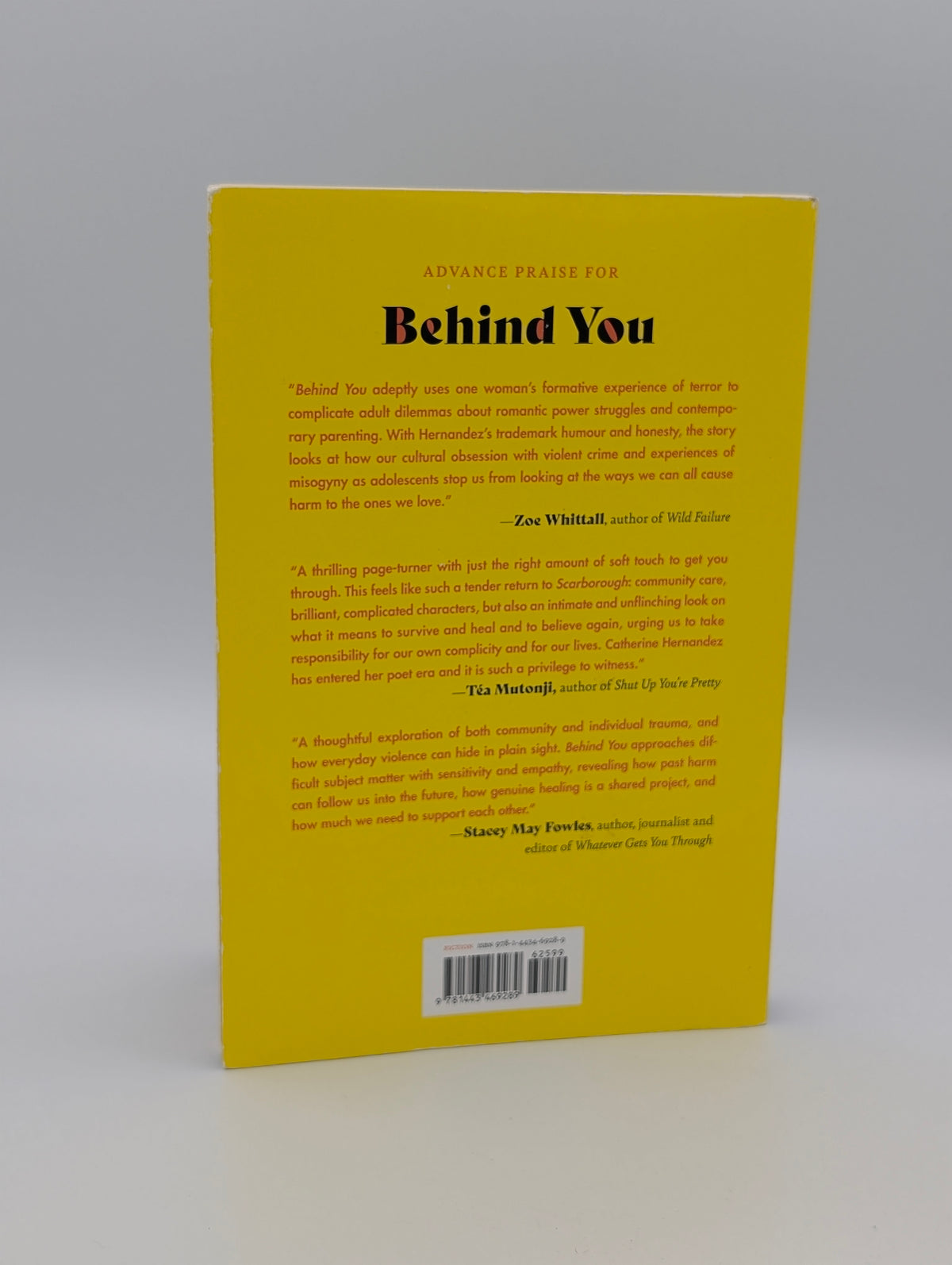 Behind You: A Novel